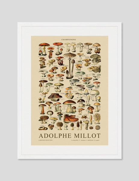 Adolphe Millot マッシュルーム テキストアートプリント - 12インチx16インチ : Adolphe Millot マッシュルーム テキストアートプリント