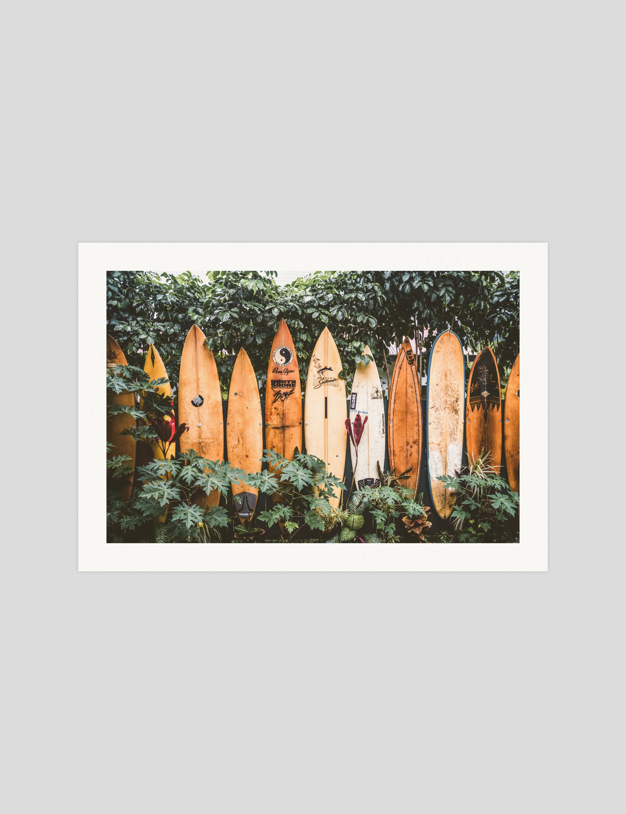 Surfboards in Hawaii Art Print | Pop Motif