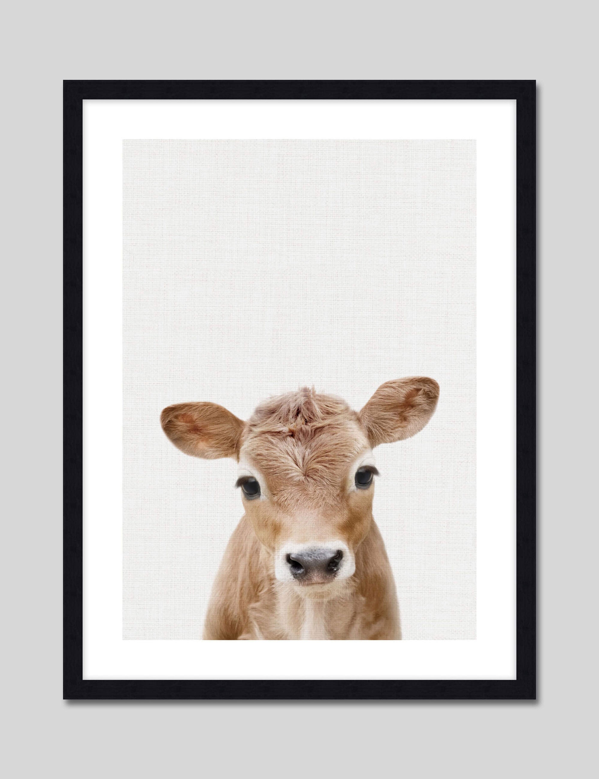 Bald Faced Baby 8x10 cheapest prints calf drawing