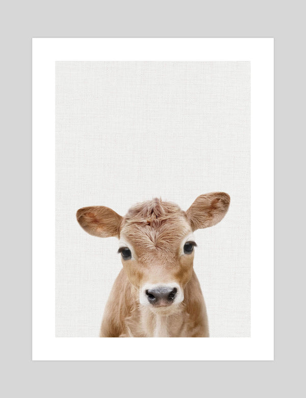 Bald outlets Faced Baby 8x10 prints calf drawing