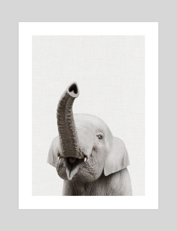 Baby Elephant Peekaboo Nursery Art Print Shop Online Pop Motif