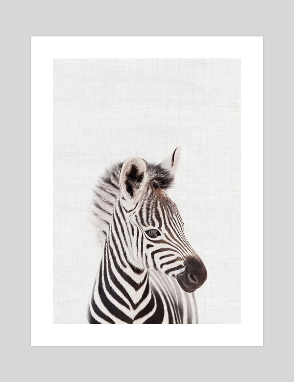 Abstract Zebra - giclee print A3 shops