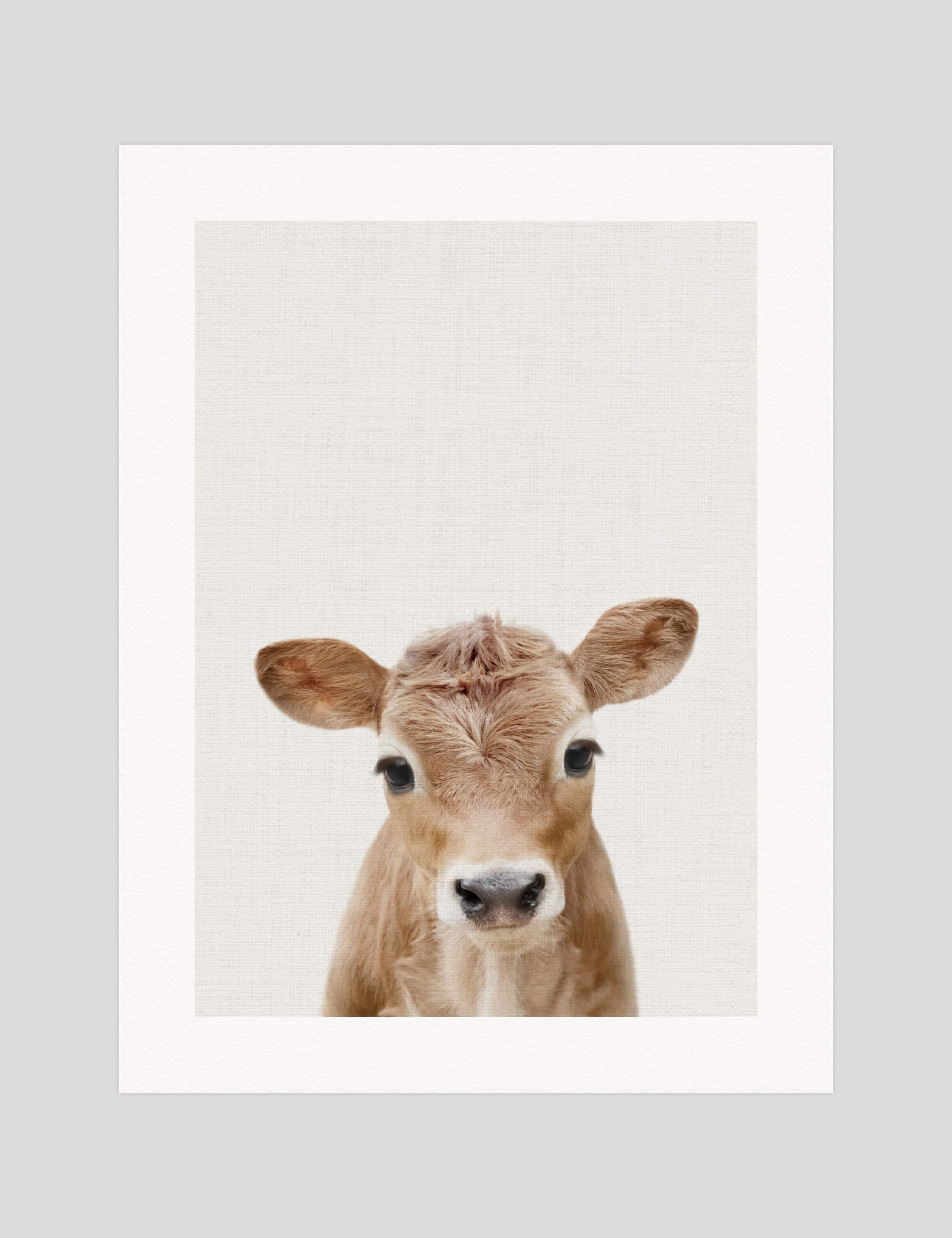 Baby Cow