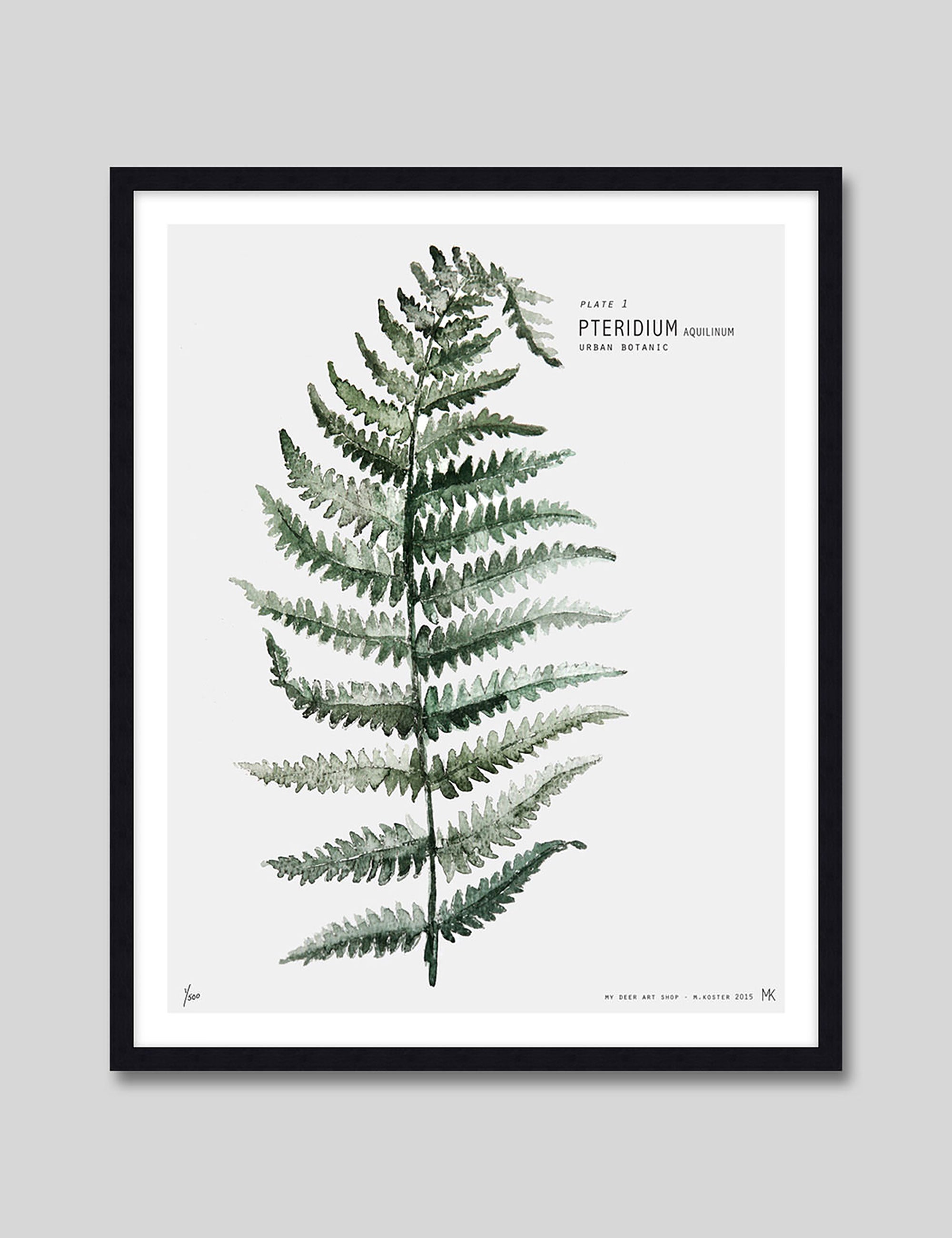 Fern by My Deer Art Print in Black Frame