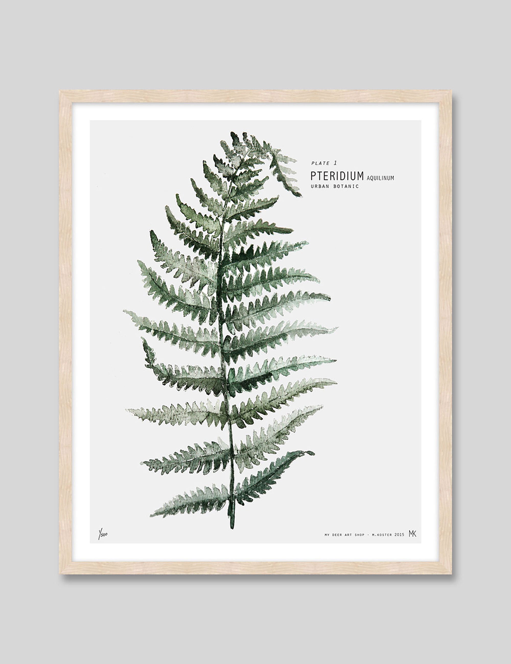 Fern by My Deer Art Print in Natural Frame