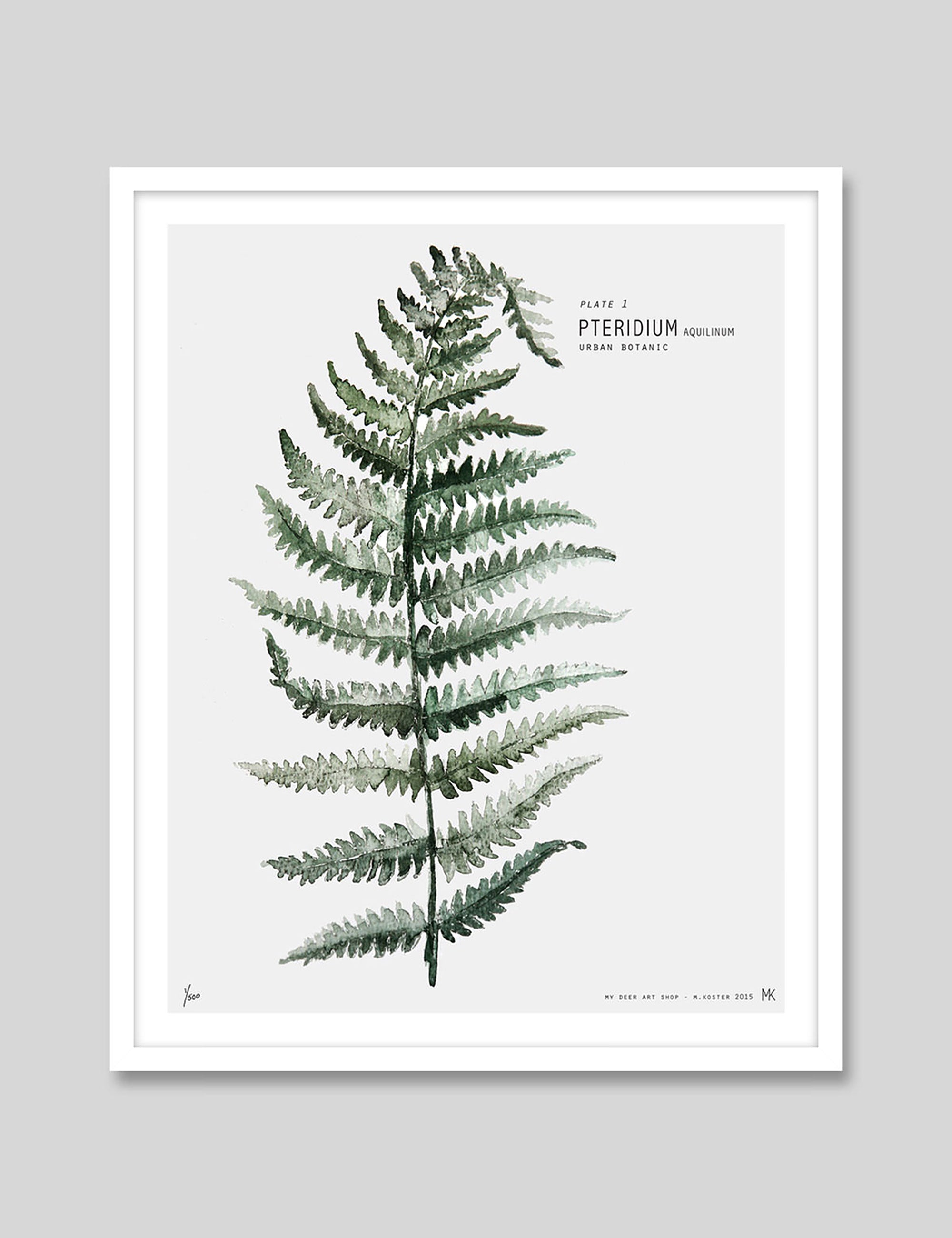 Fern by My Deer Art Print in White Frame