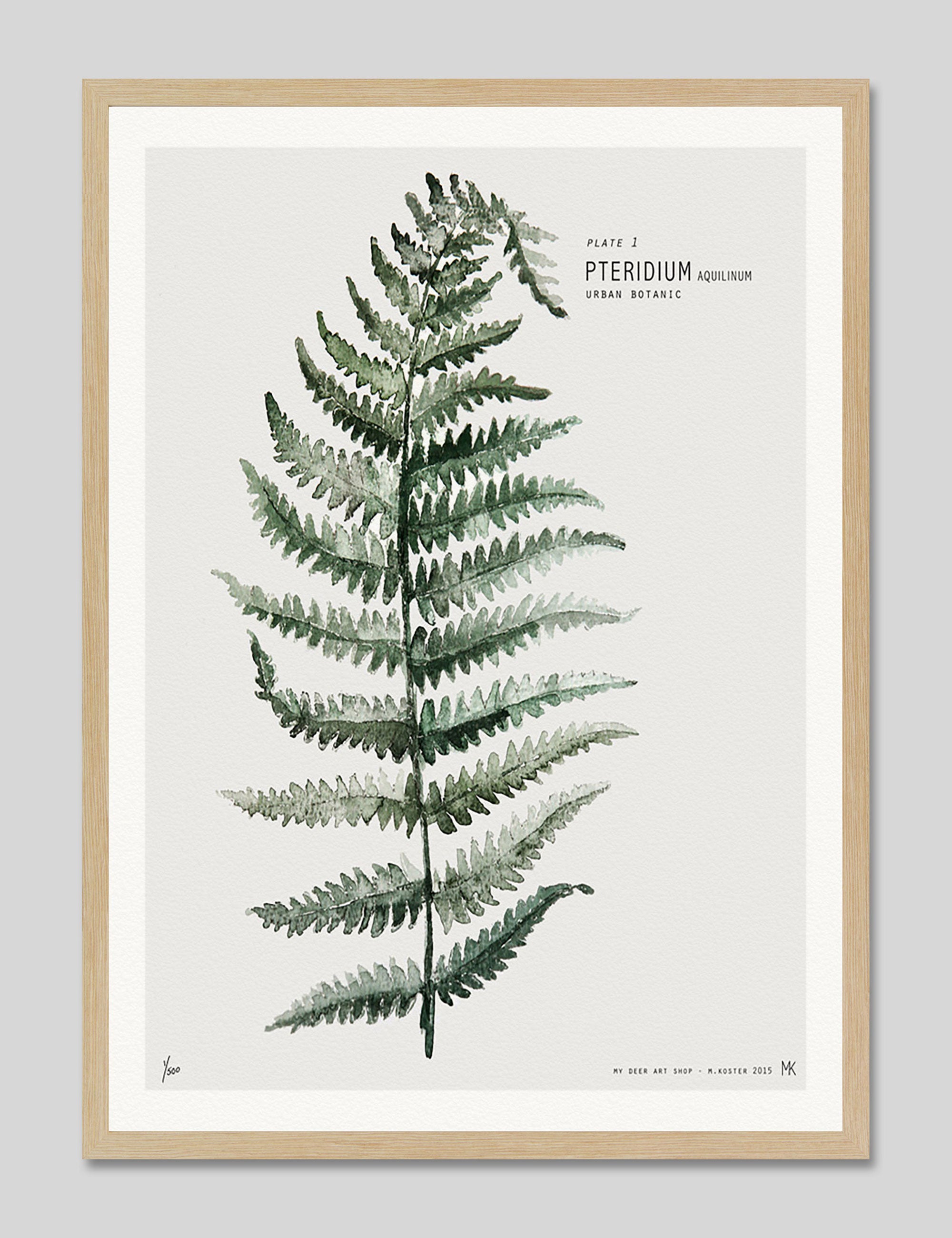 Fern by My Deer Art Print in Natural Frame