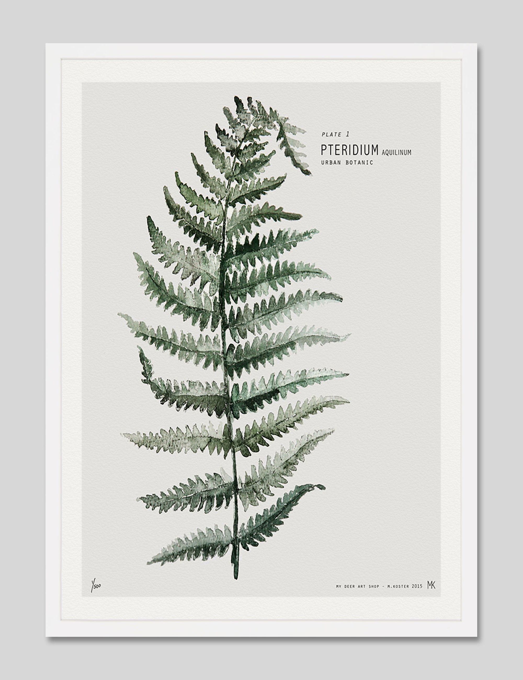 Fern by My Deer Art Print in White Frame