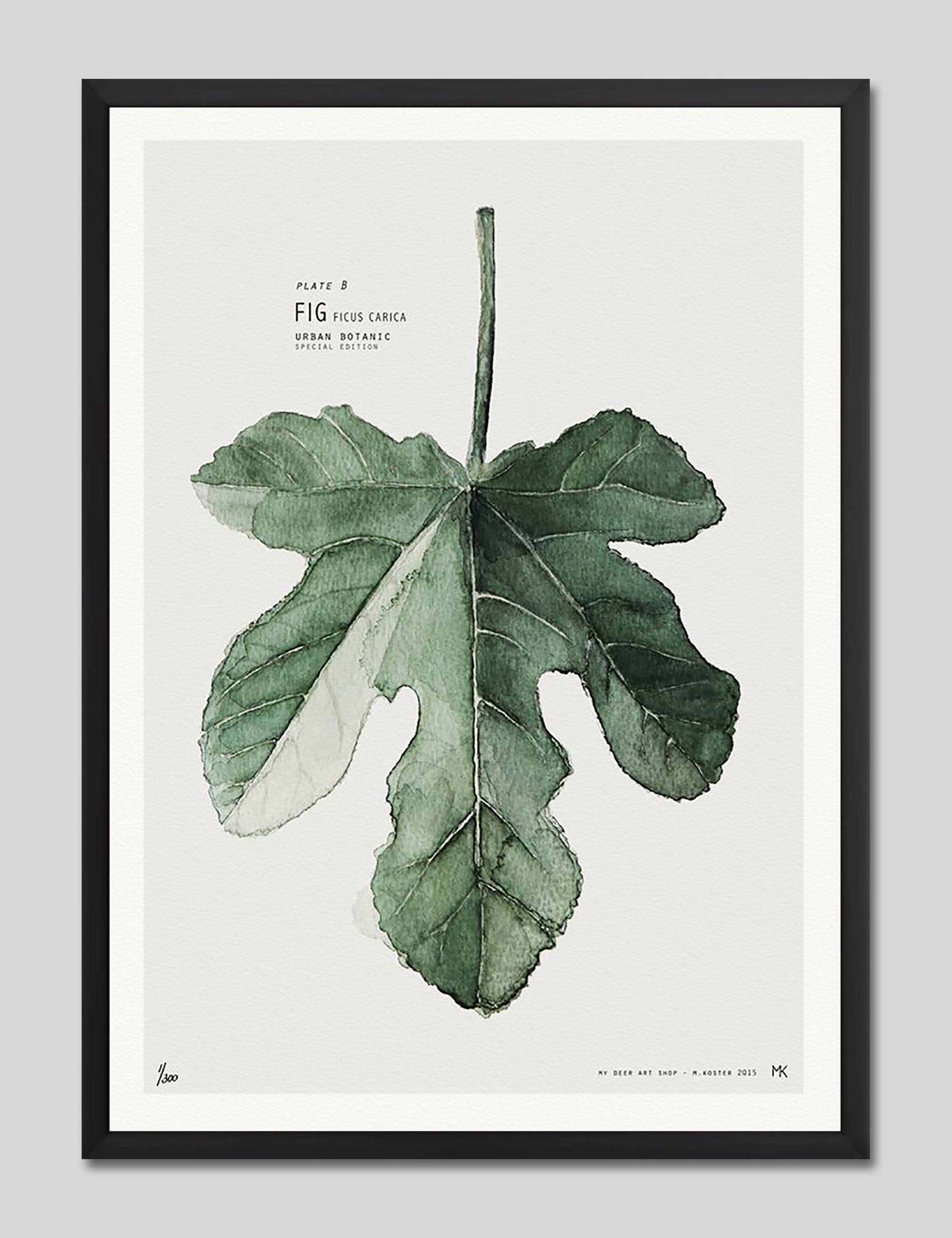 Fig by My Deer Art Print in Black Frame