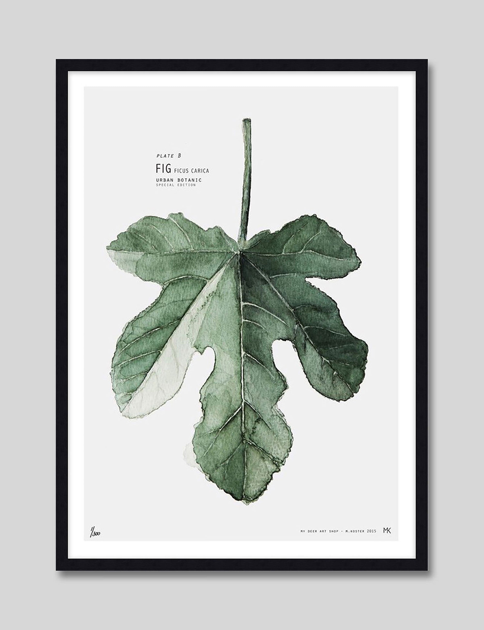 Fig by My Deer Art Print in Black Frame