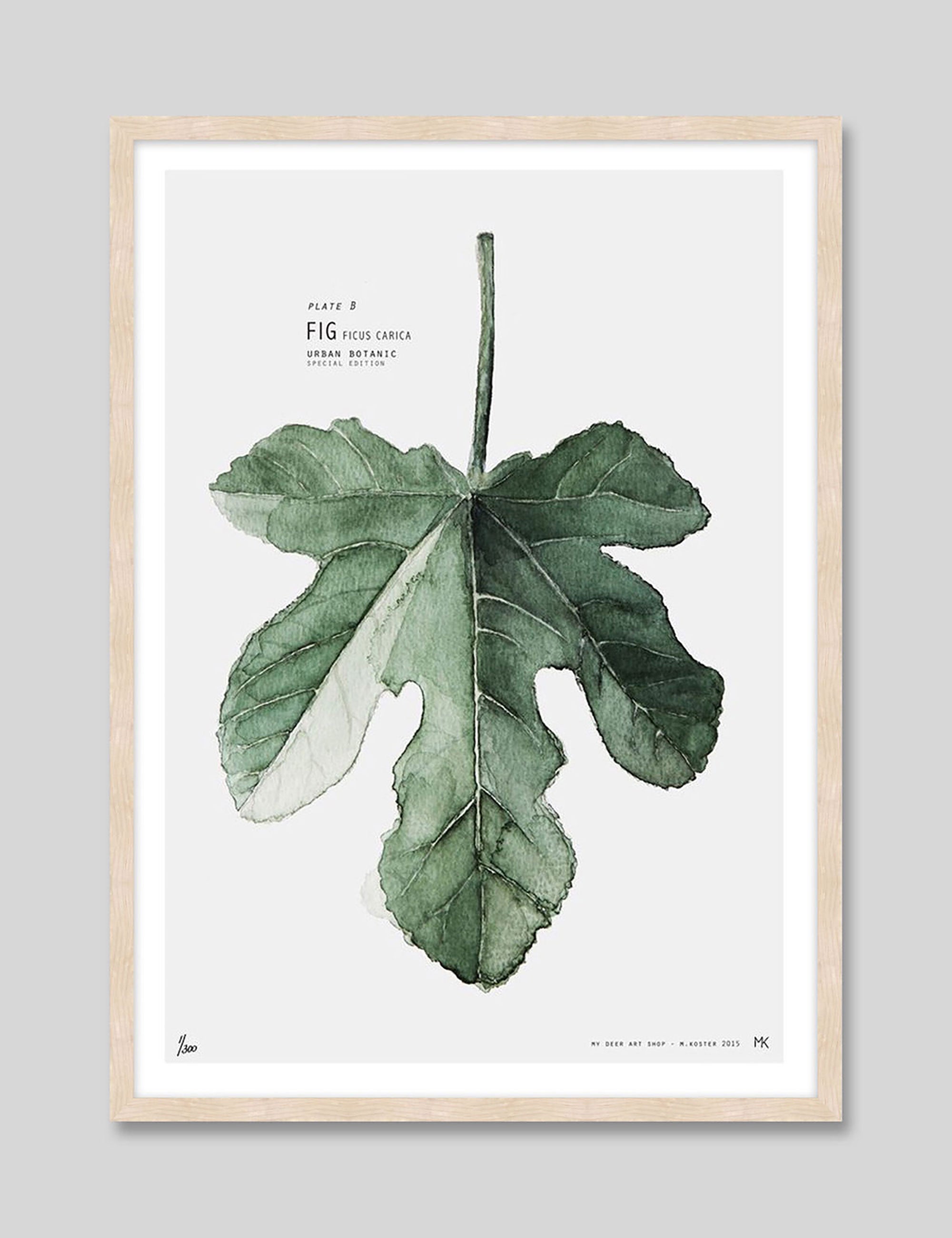 Fig by My Deer Art Print in Natural Frame