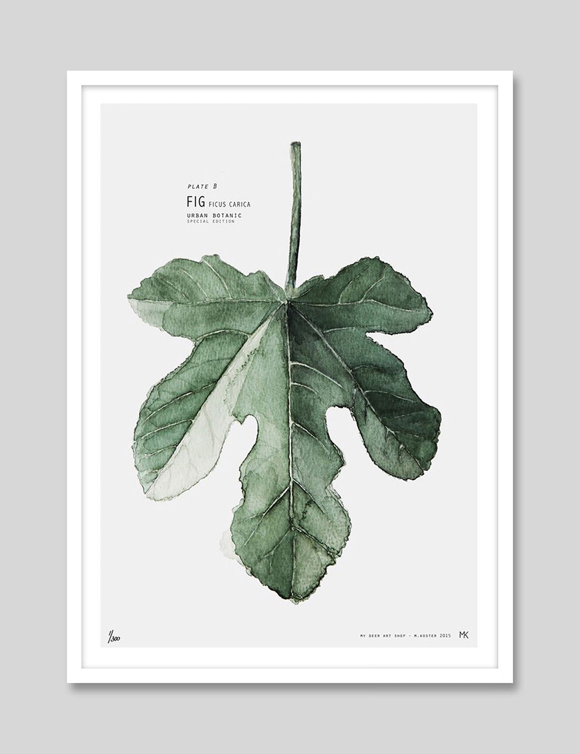 Fig by My Deer Art Print in White Frame