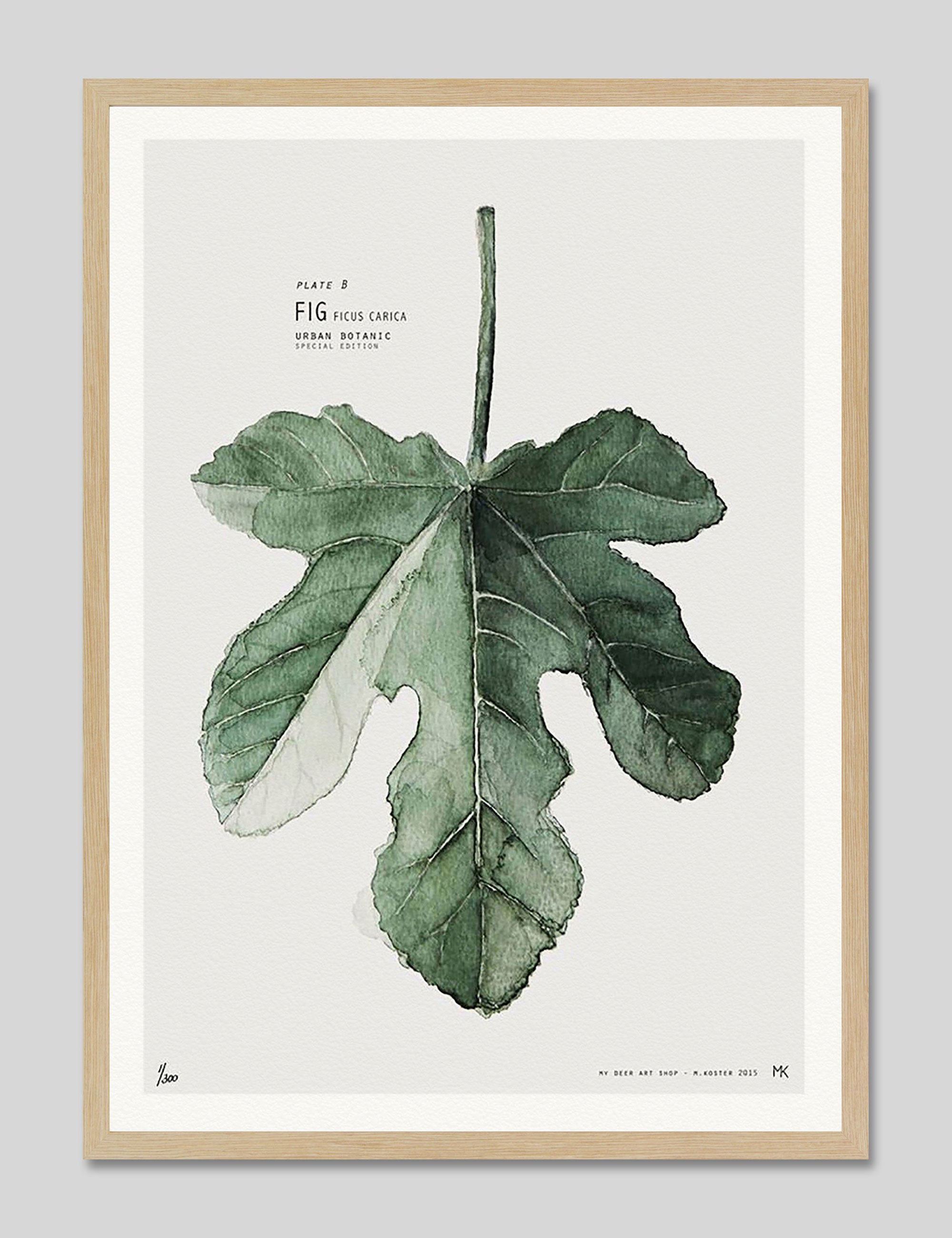 Fig by My Deer Art Print in Natural Frame