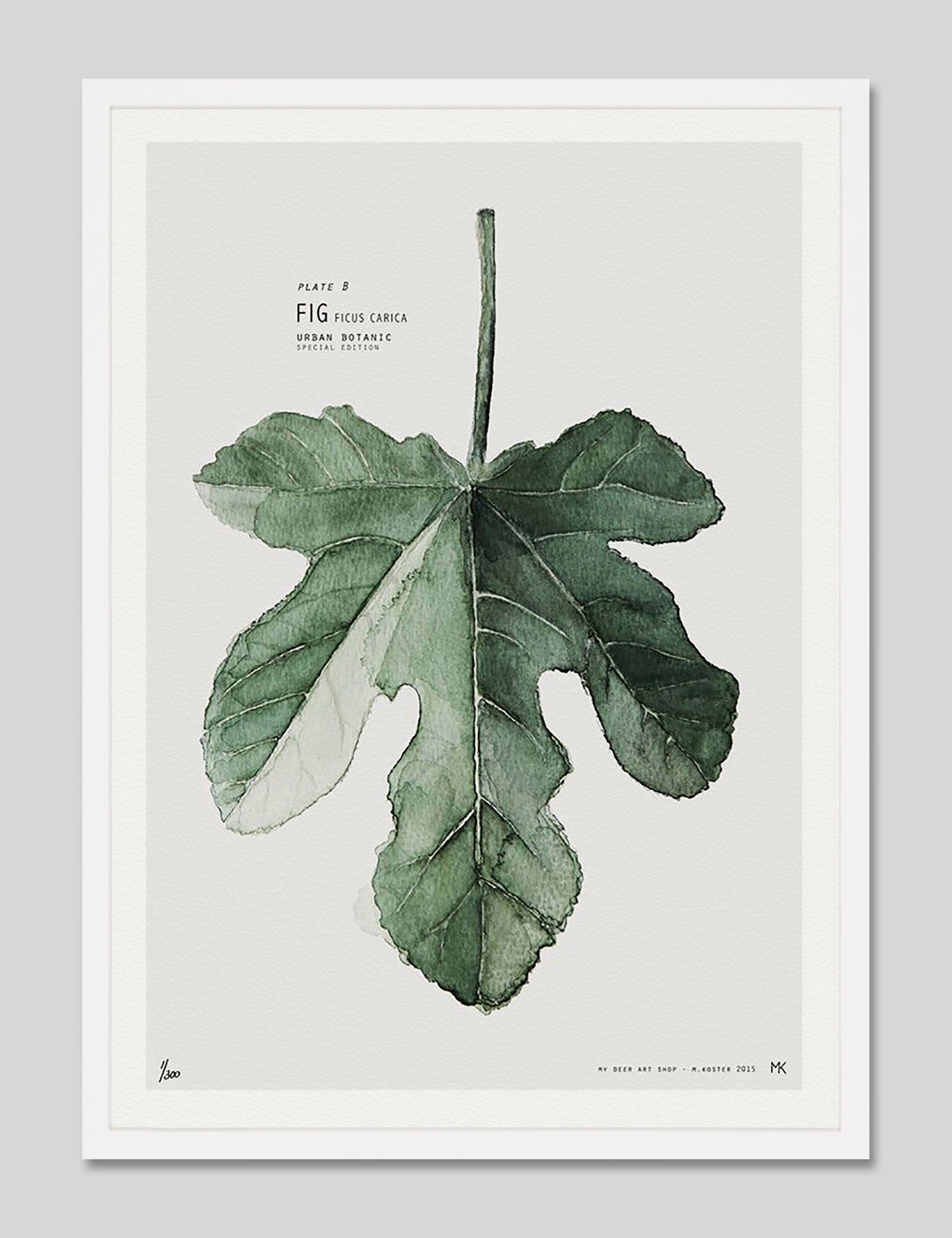 Fig by My Deer Art Print in White Frame