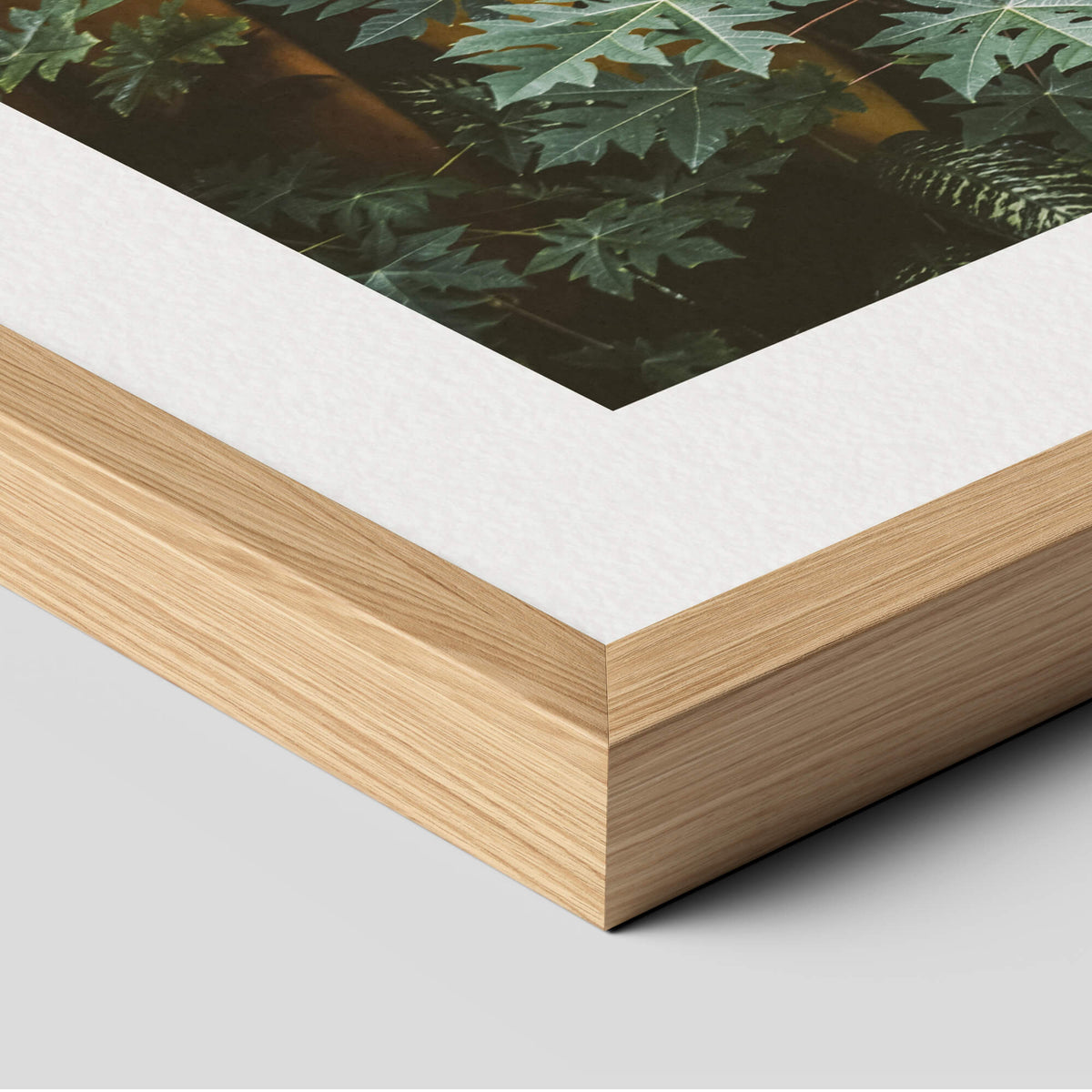 Surfboards in Hawaii Art Print in Natural Frame