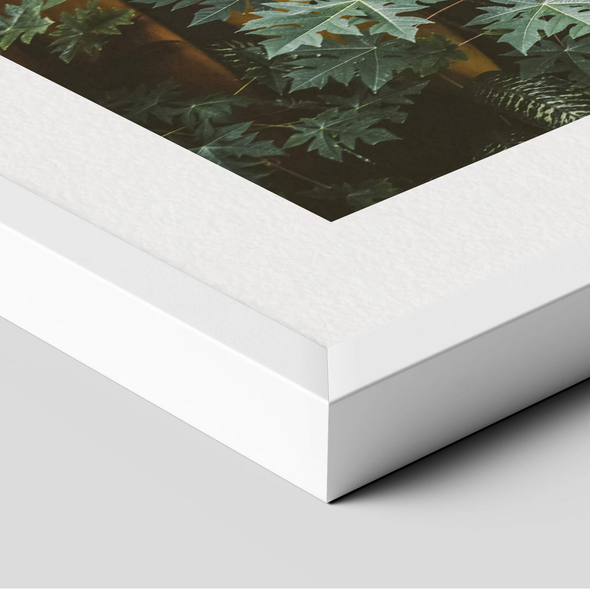 Surfboards in Hawaii Art Print in White Frame