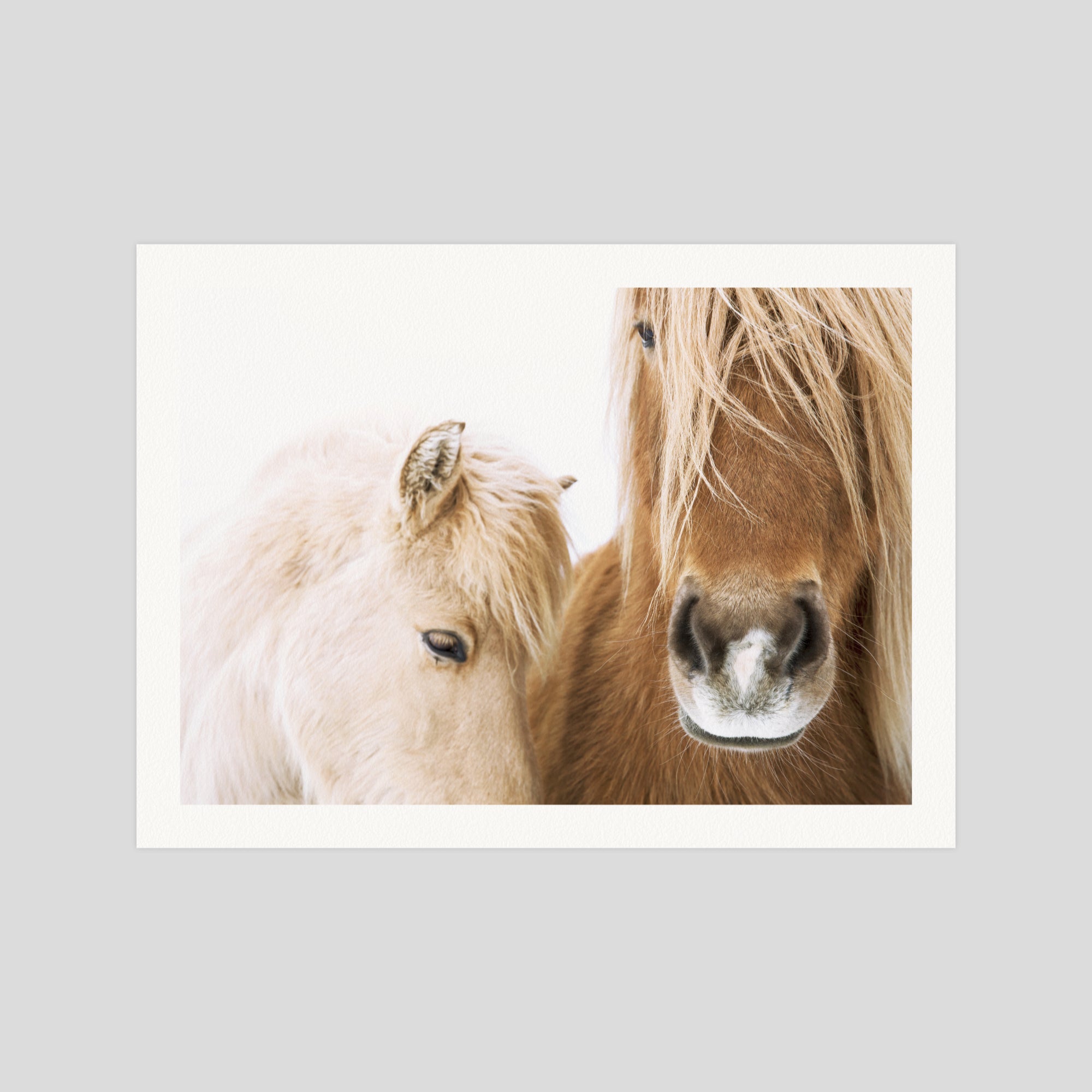 Horses gallery quality art print produced using 100% cotton rag textured art paper and pigment based archival inks in New Zealand.