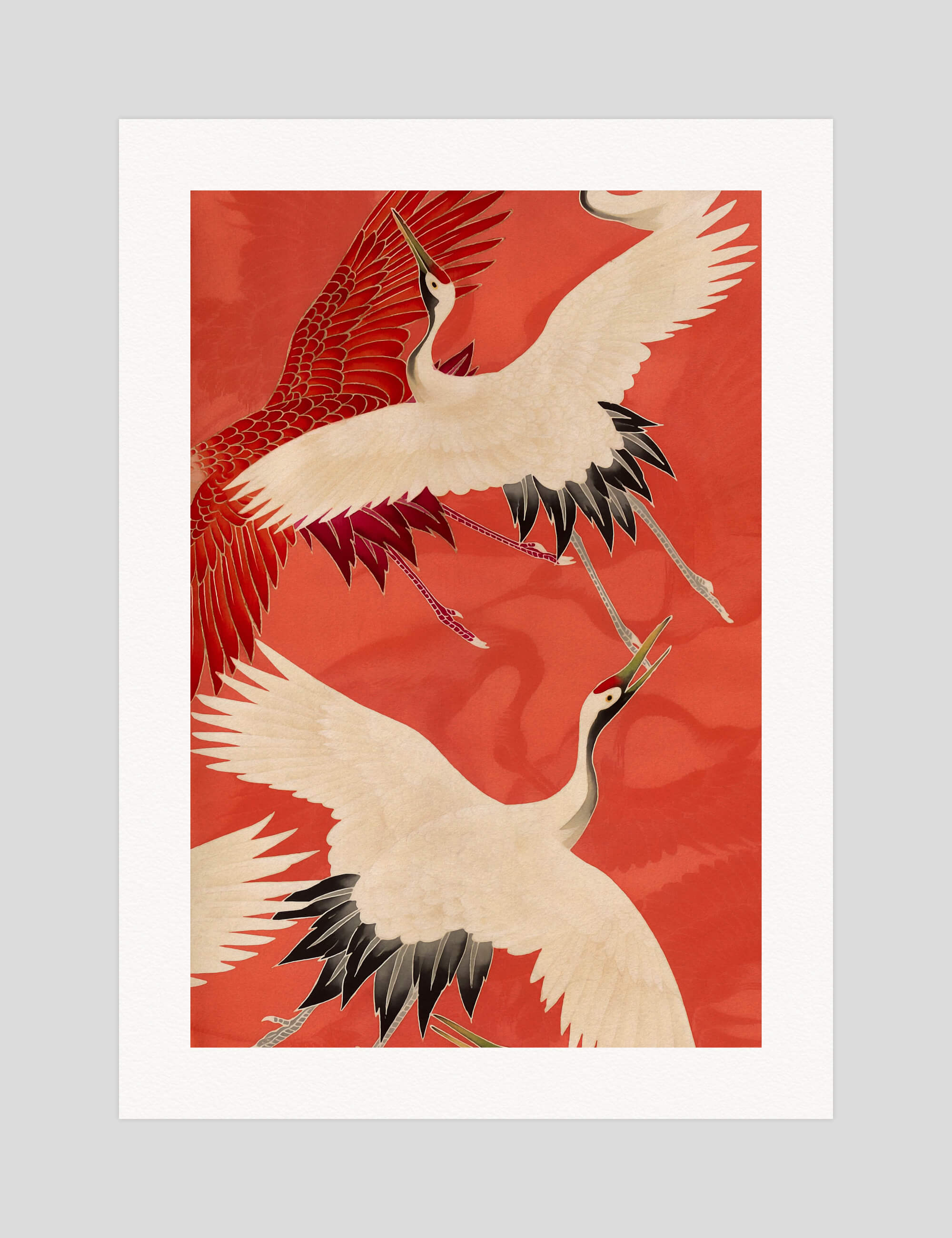 Japanese Cranes