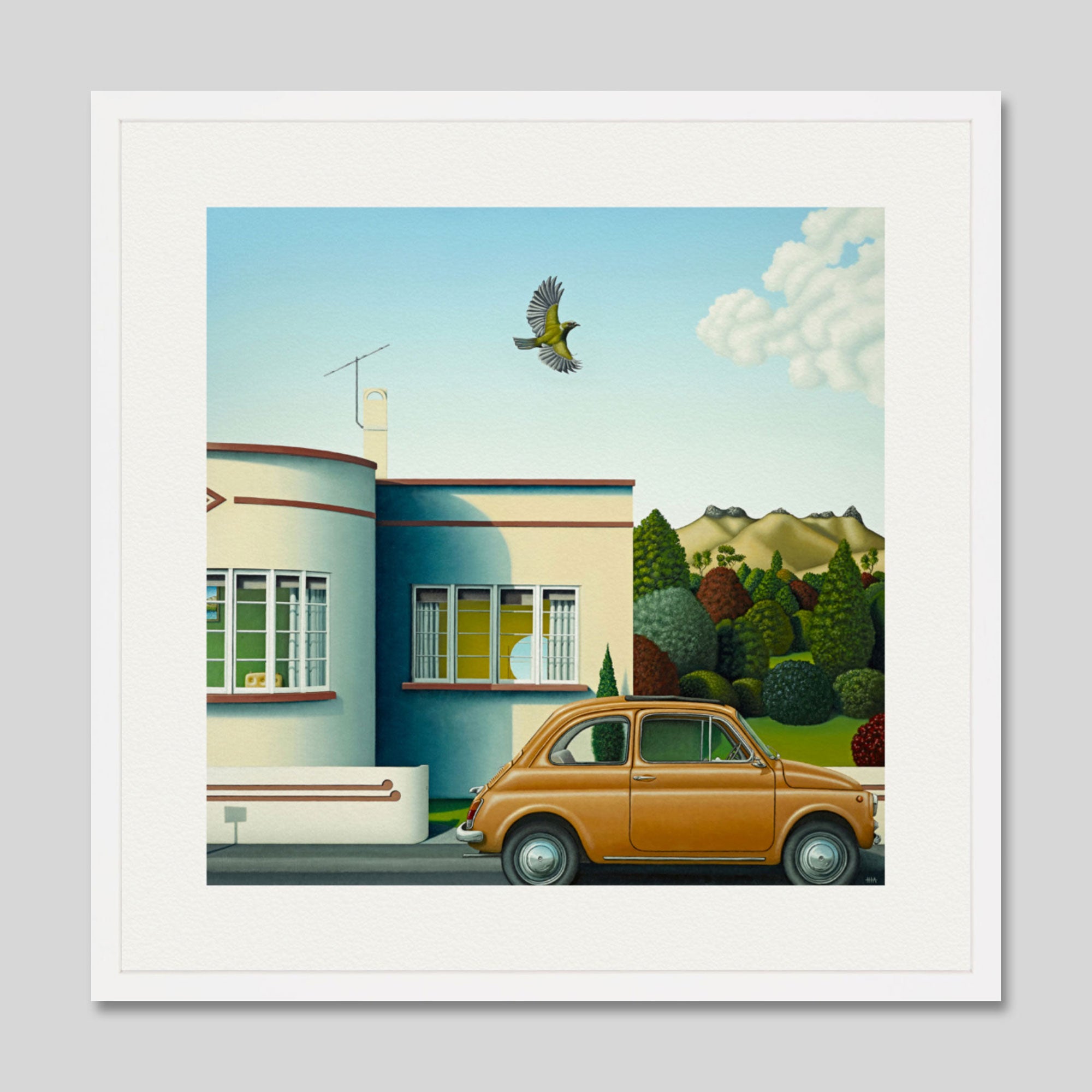 Korimako by Hamish Allan Art Print in White Frame