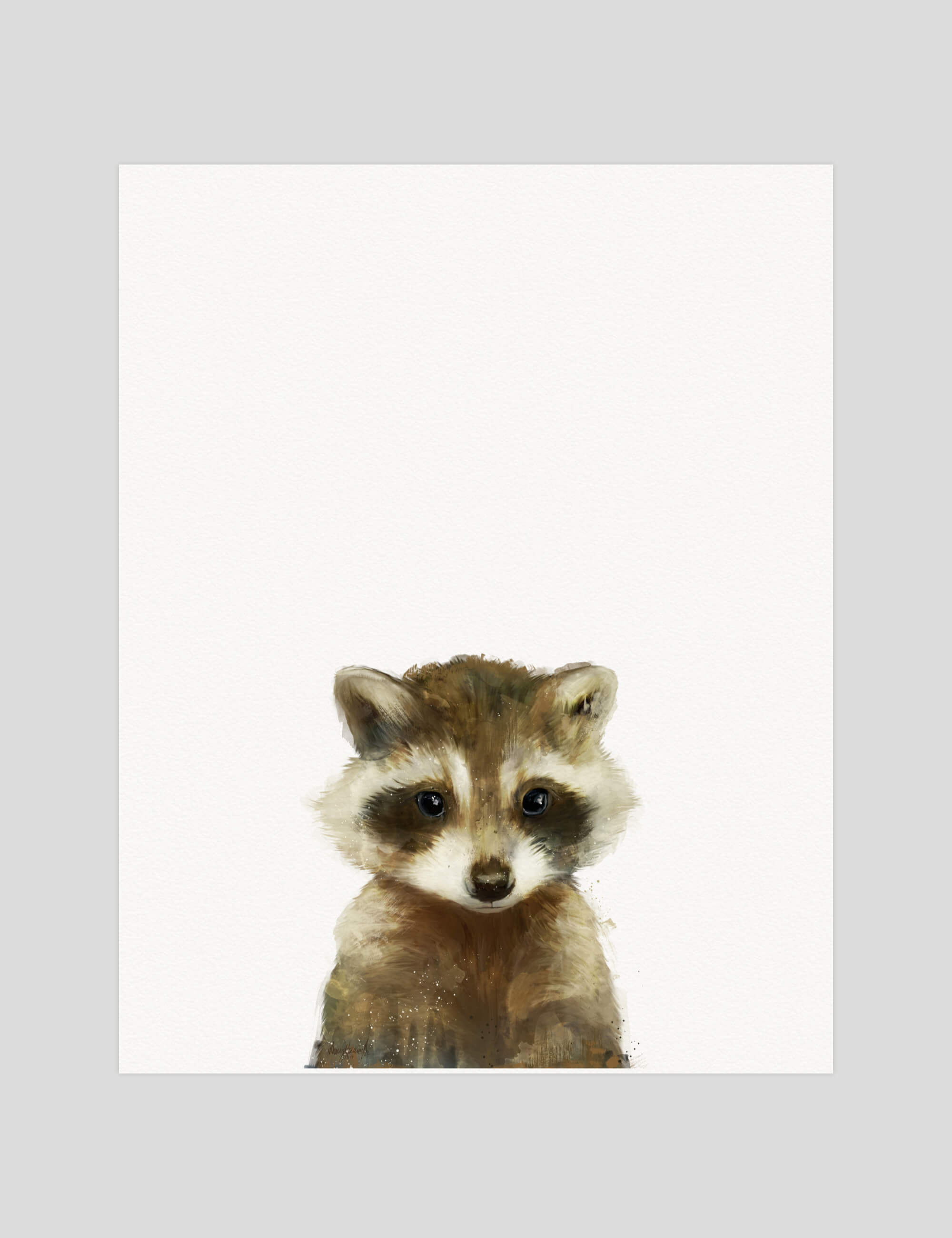 Little Raccoon