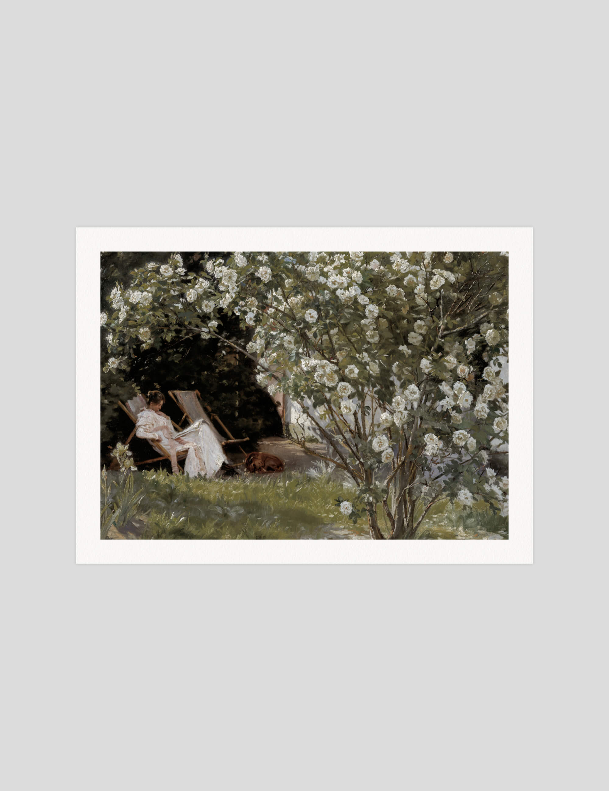 Marie in a Deckchair Reading