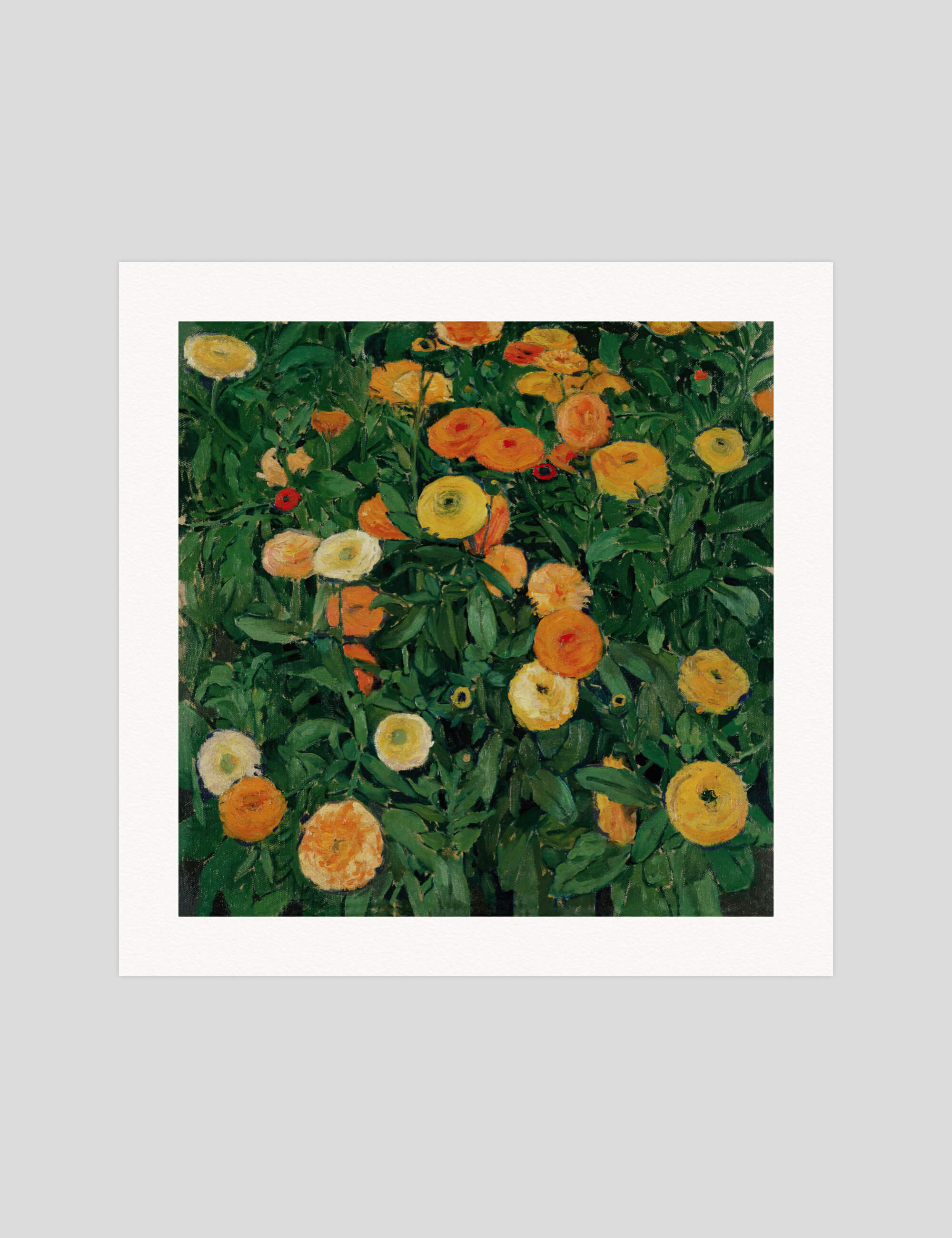 Marigolds