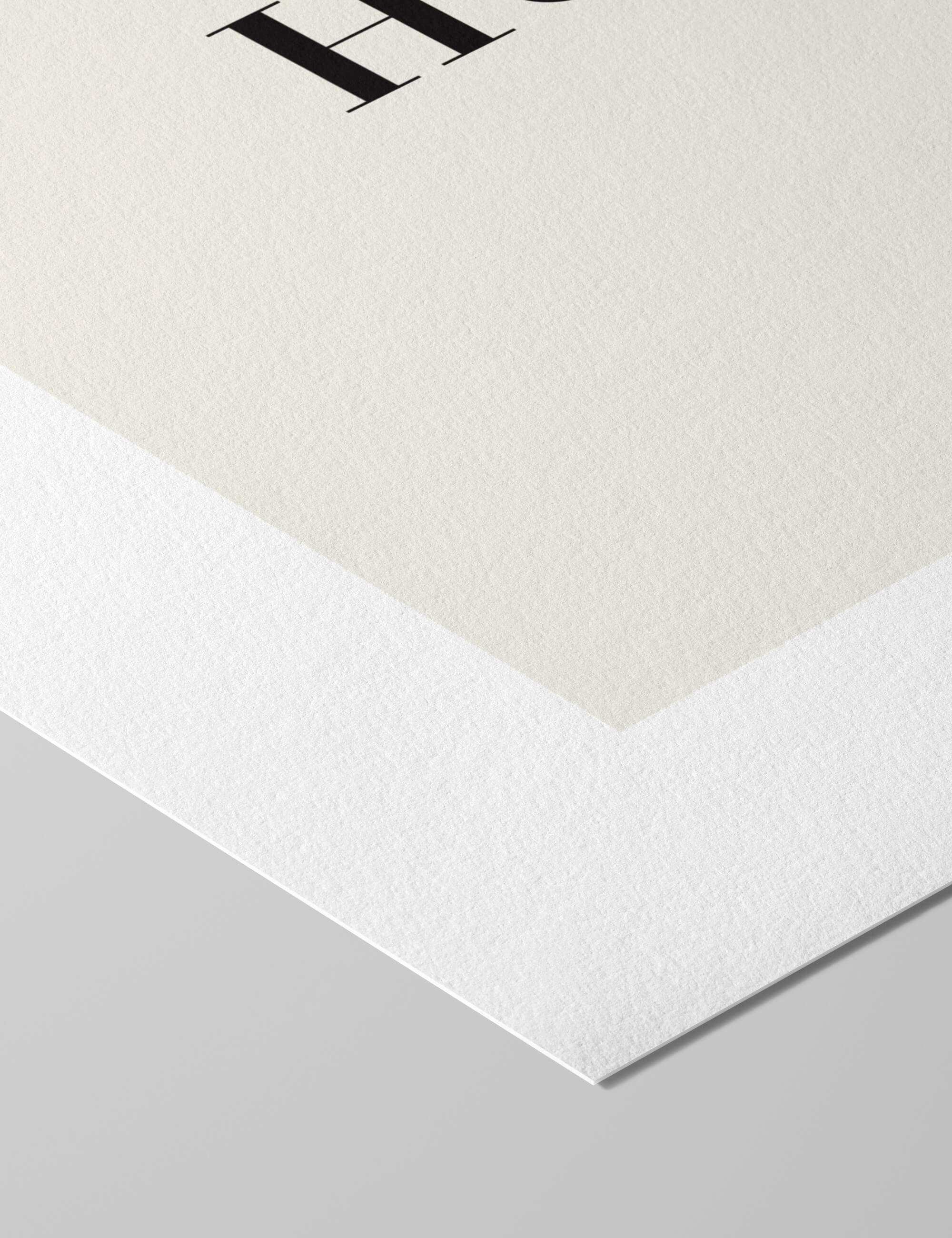 Le Platane Galerie Maeght