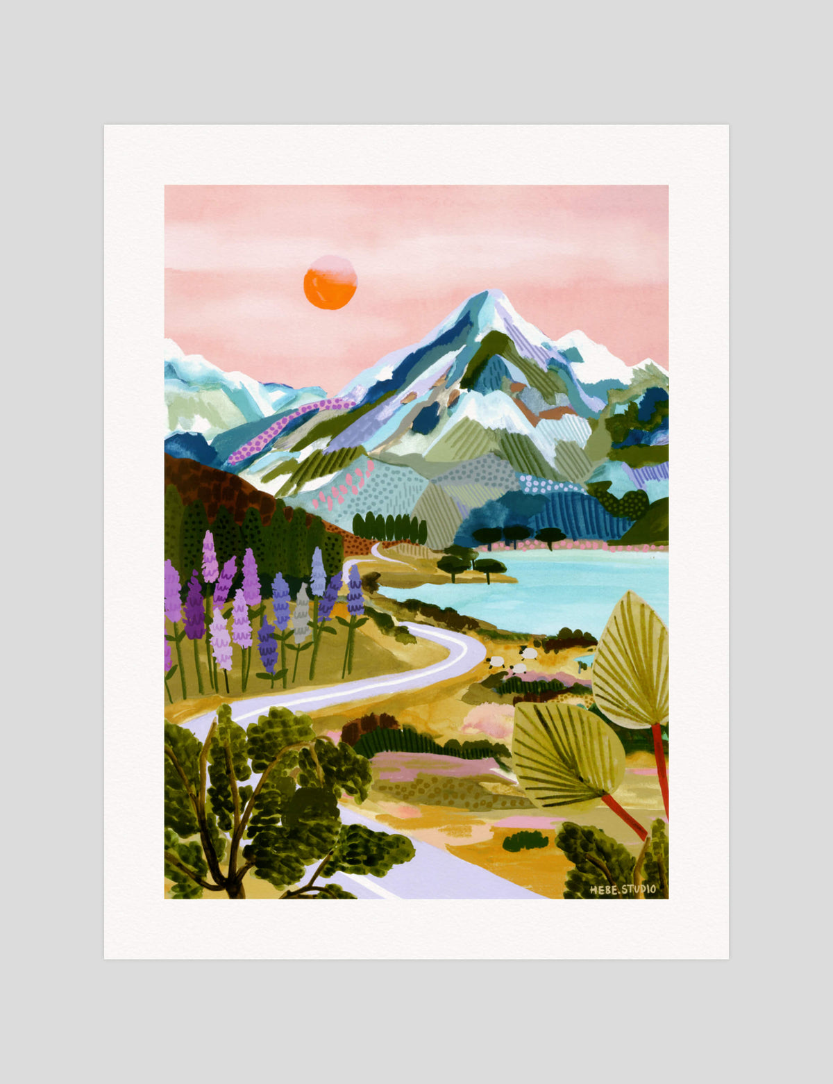 Mt Cook