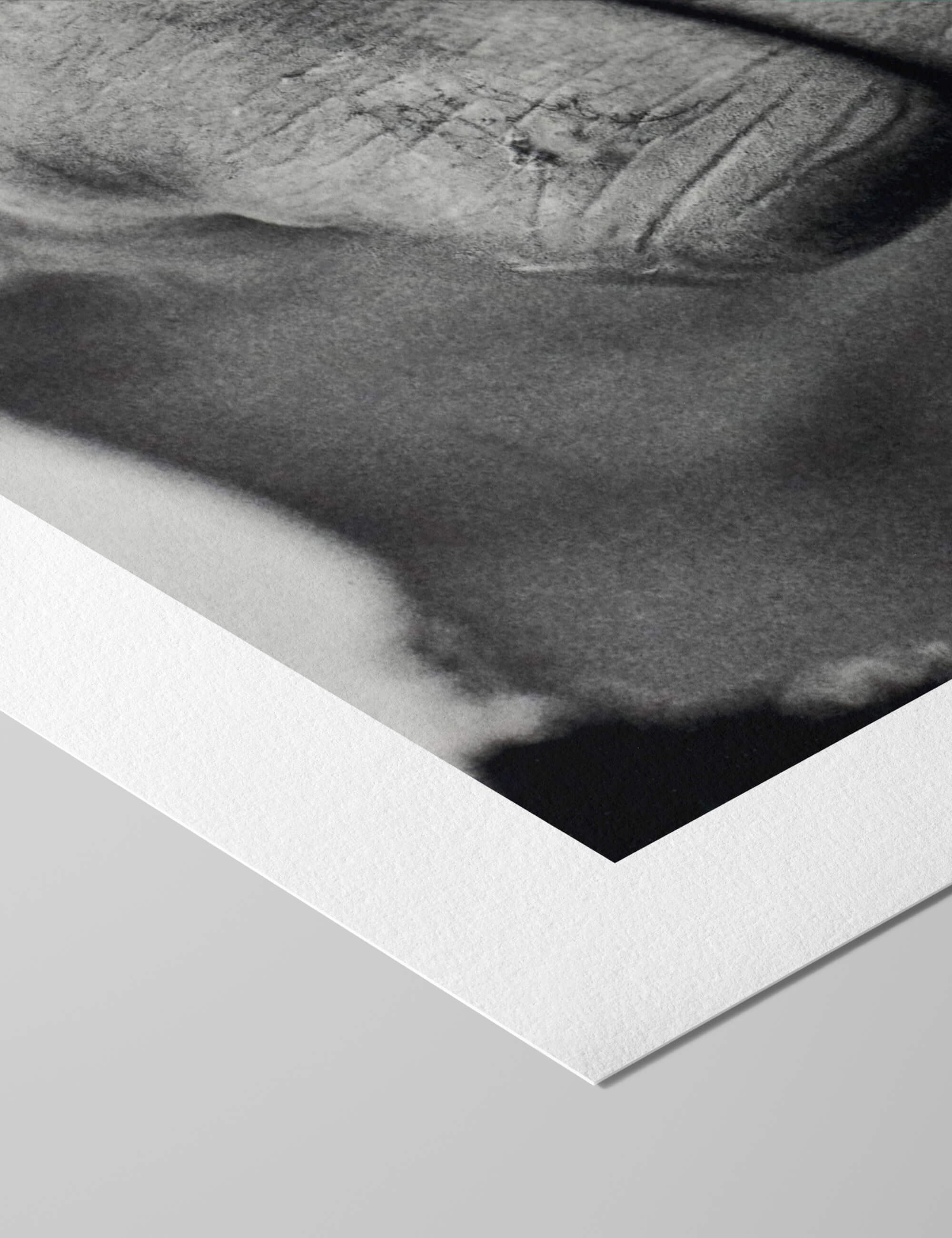 Muhammad Ali The Fist