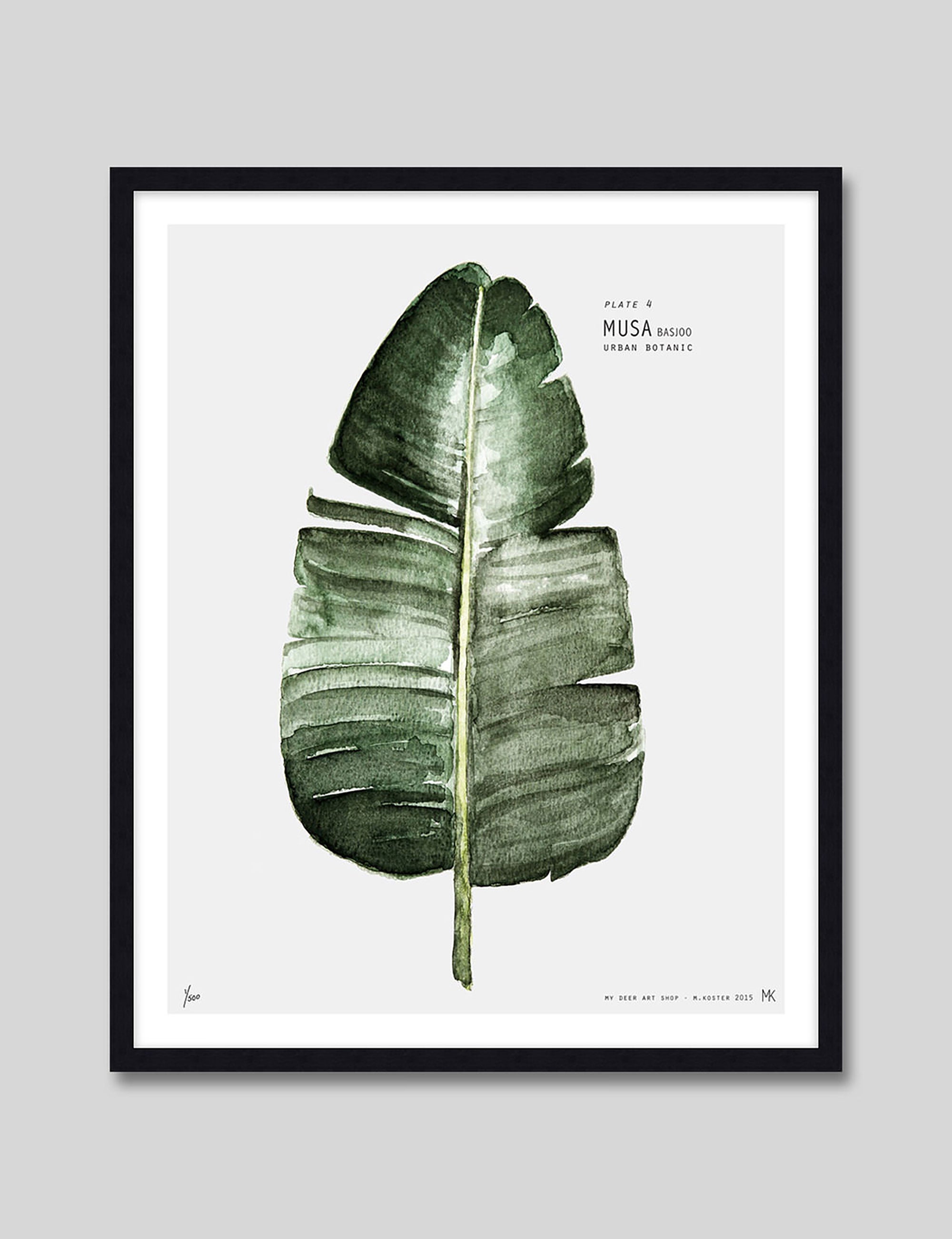 Musa by My Deer Art Print in Black Frame