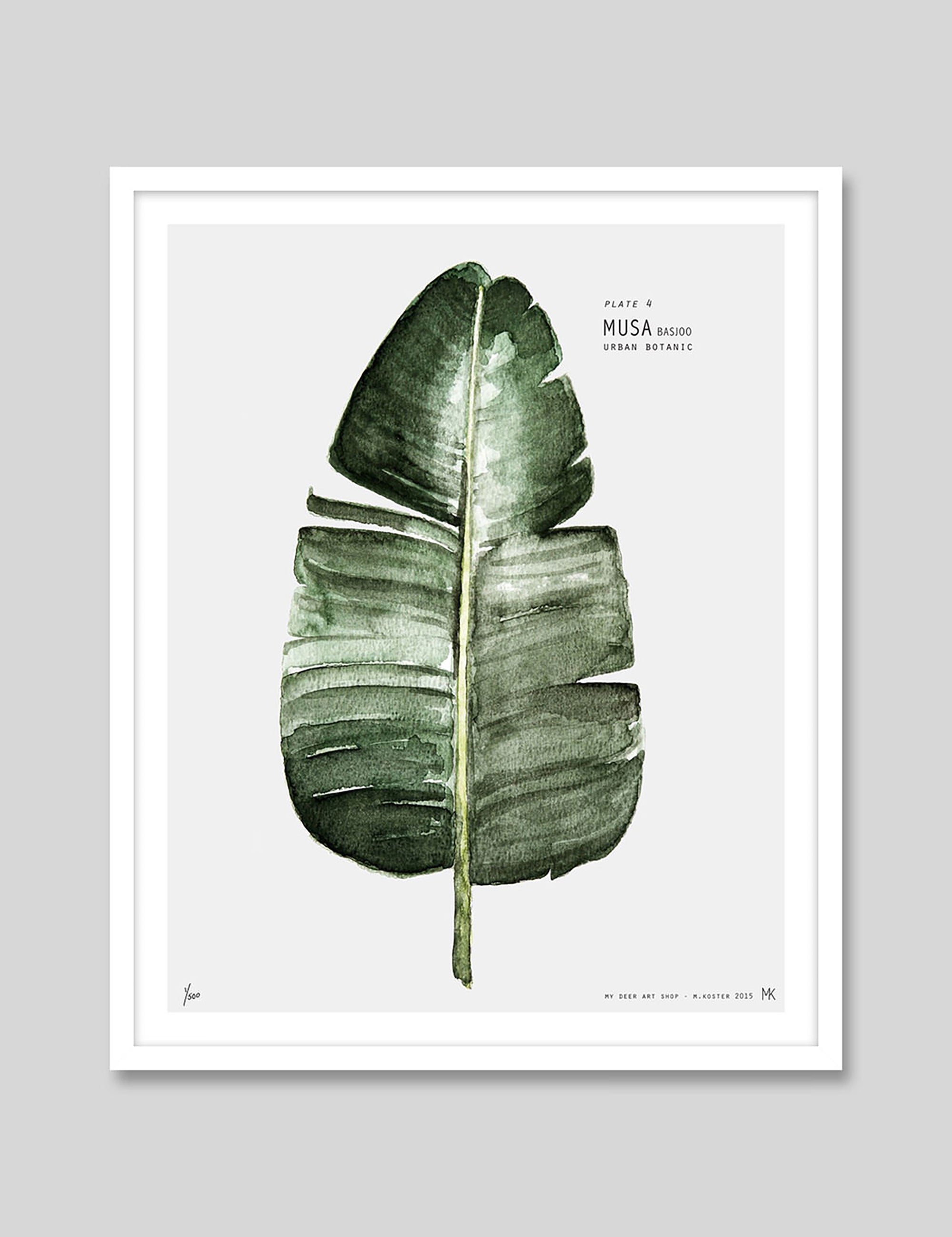 Musa by My Deer Art Print in White Frame