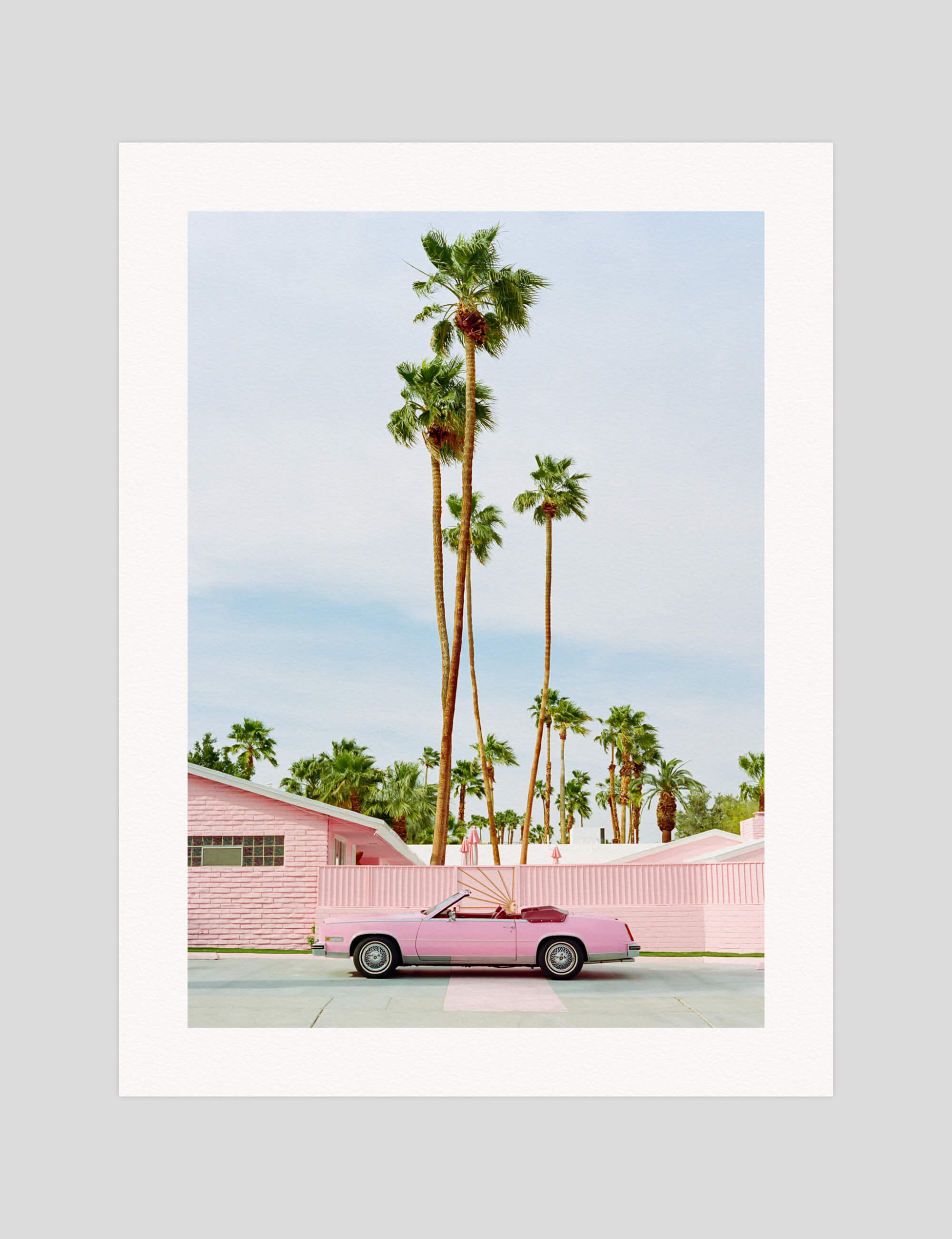 Pink Palm Springs