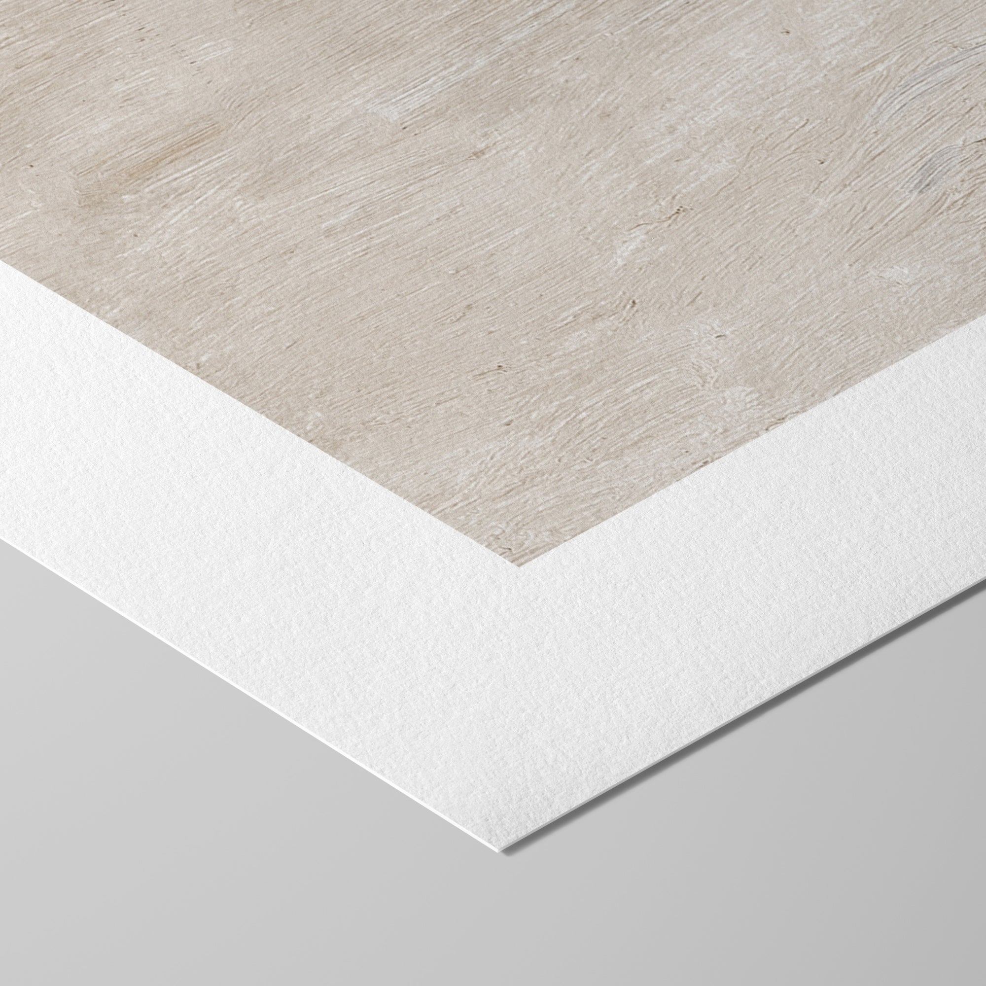 Soft Coastal Landscape