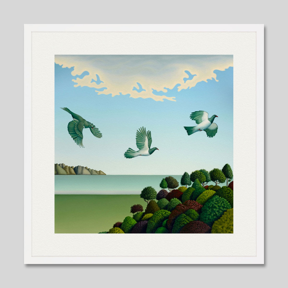Swoop by Hamish Allan Art Print in White Frame