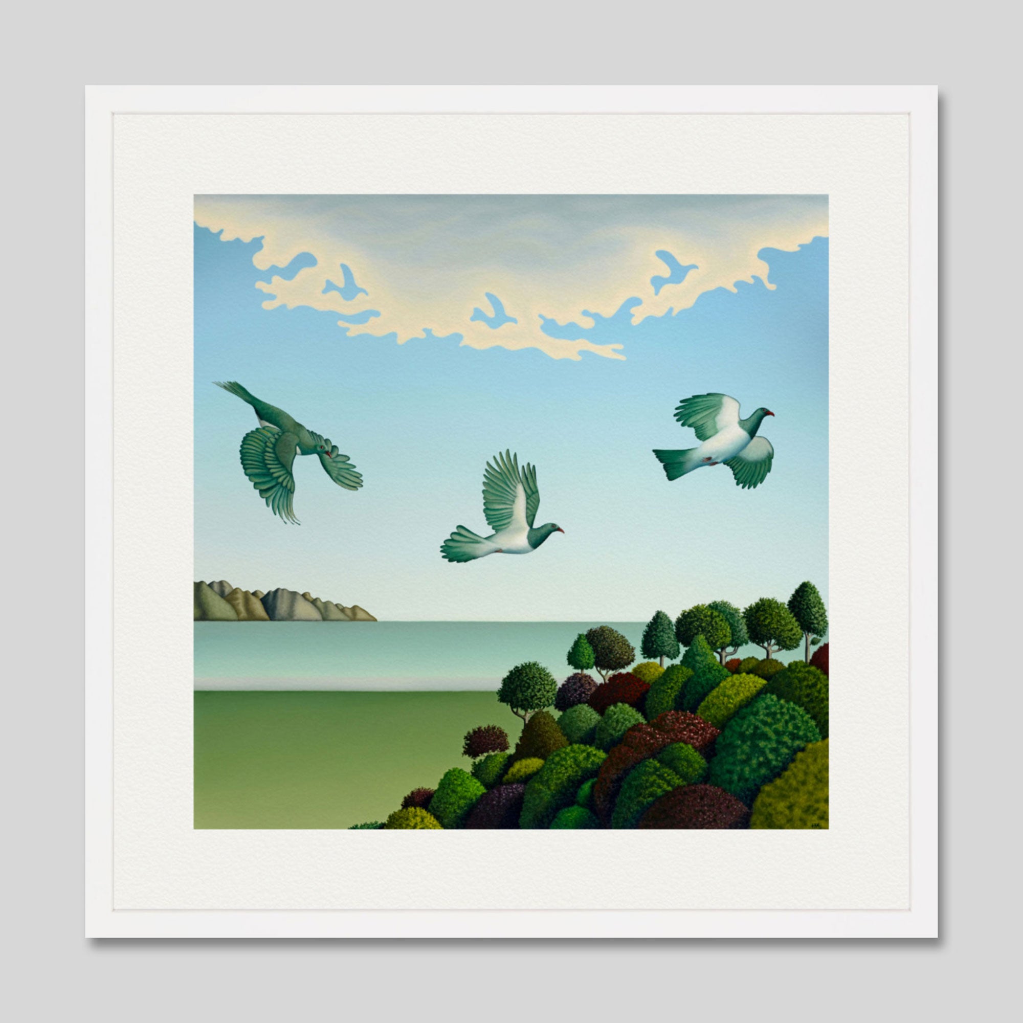 Swoop by Hamish Allan Art Print in White Frame