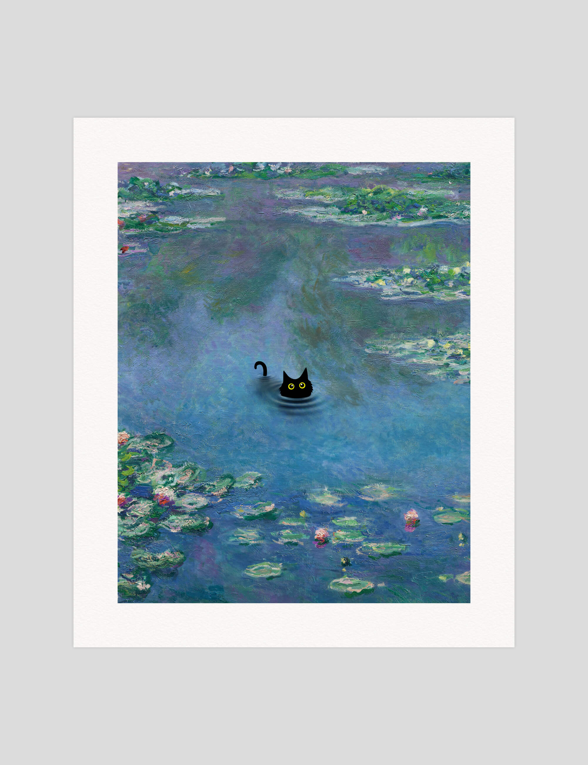The Water Lily Pond Little Black Cat