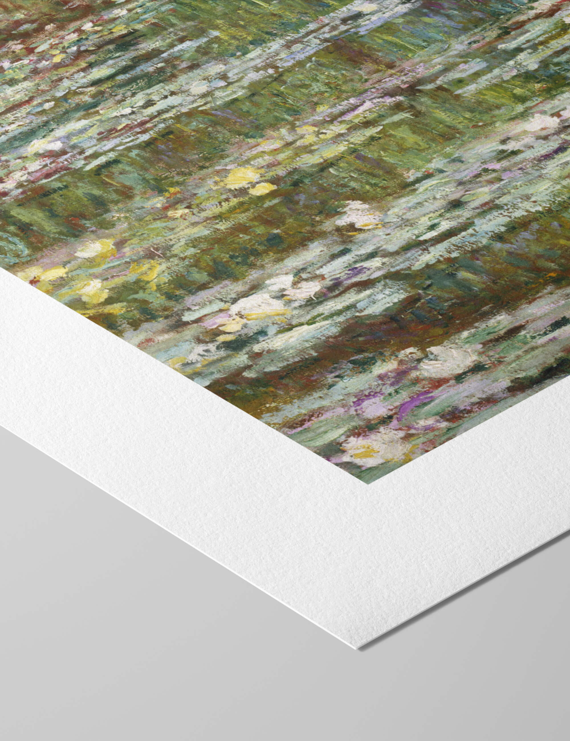 Water Lillies Little Black Cat