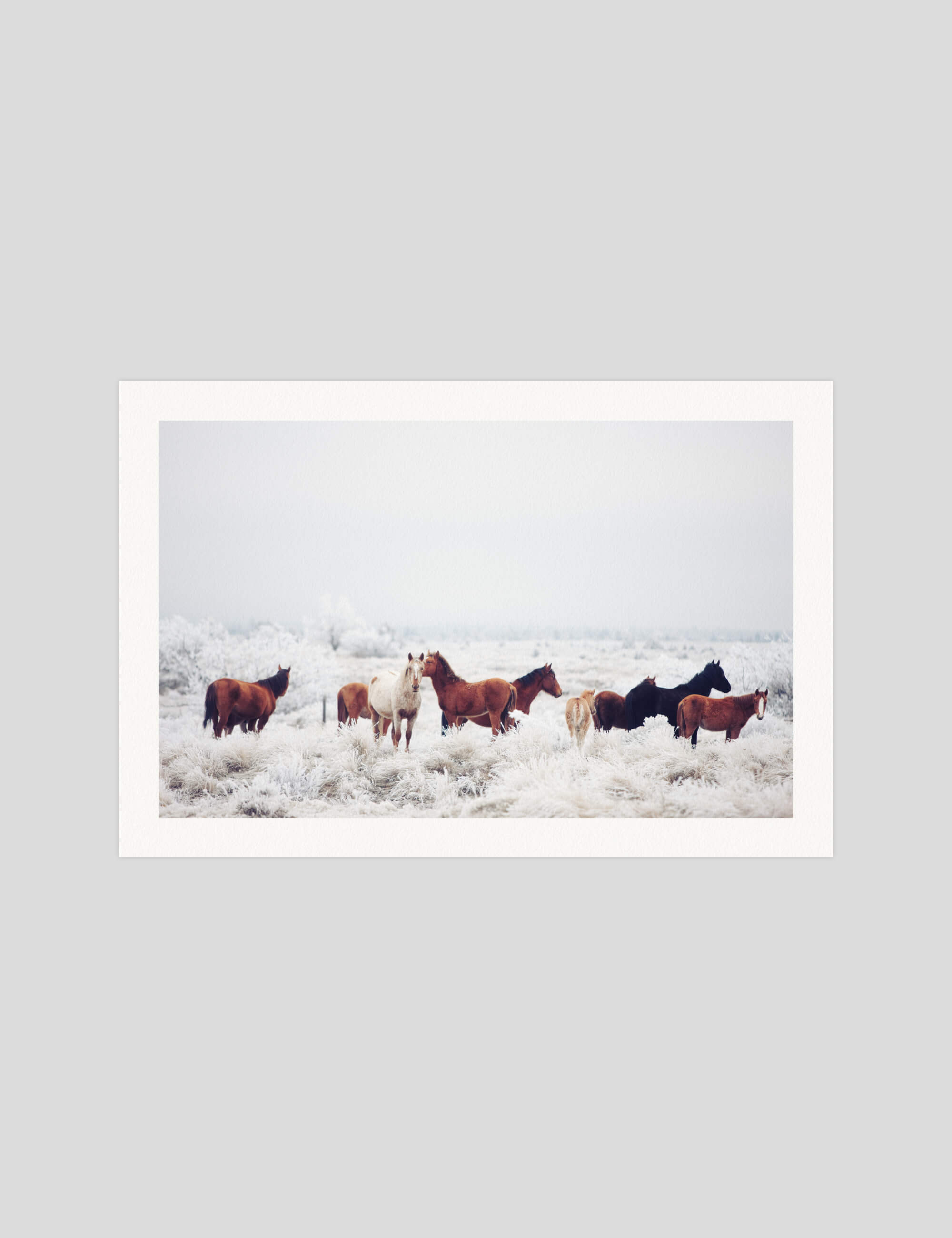 Winter Horseland