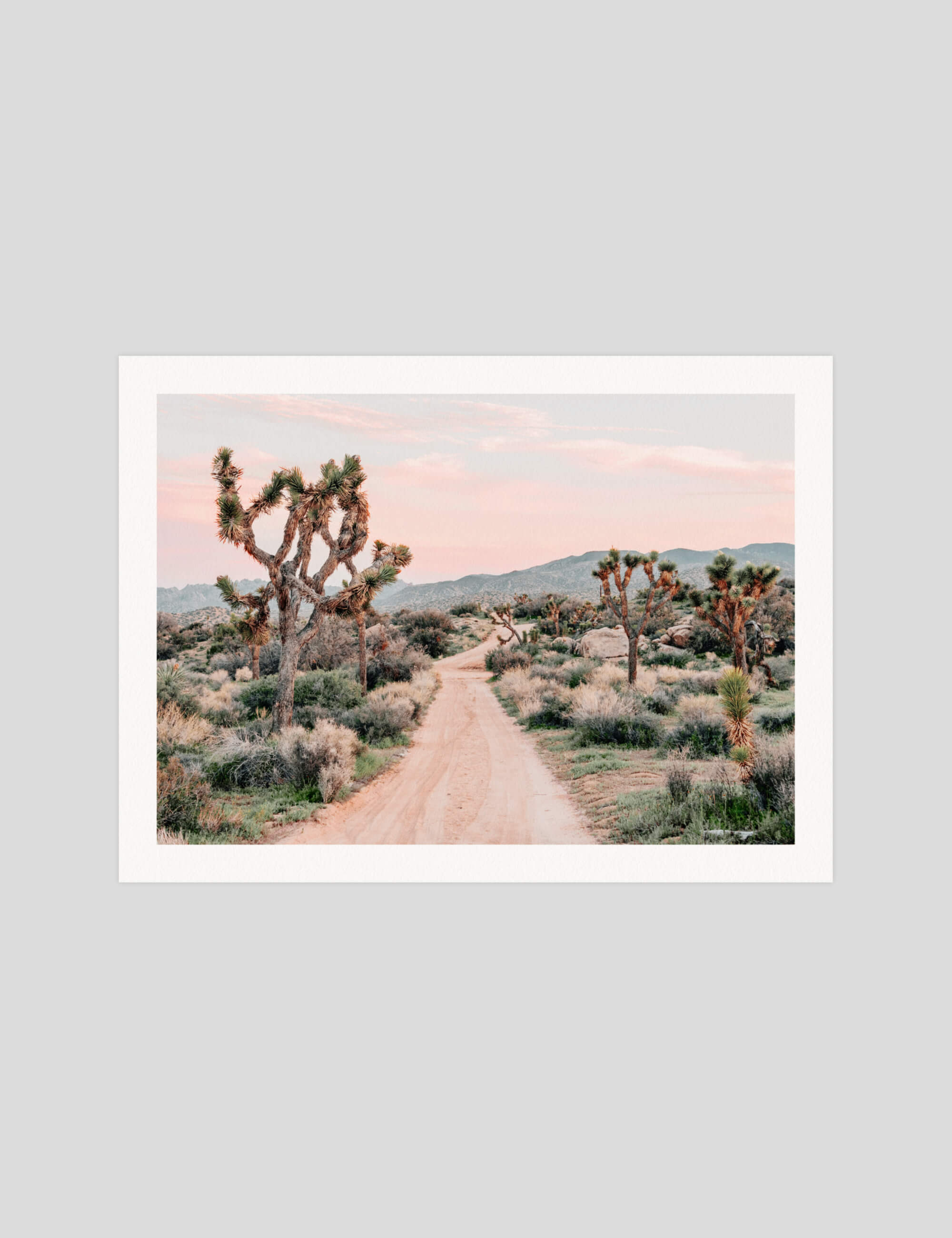 Yucca Valley