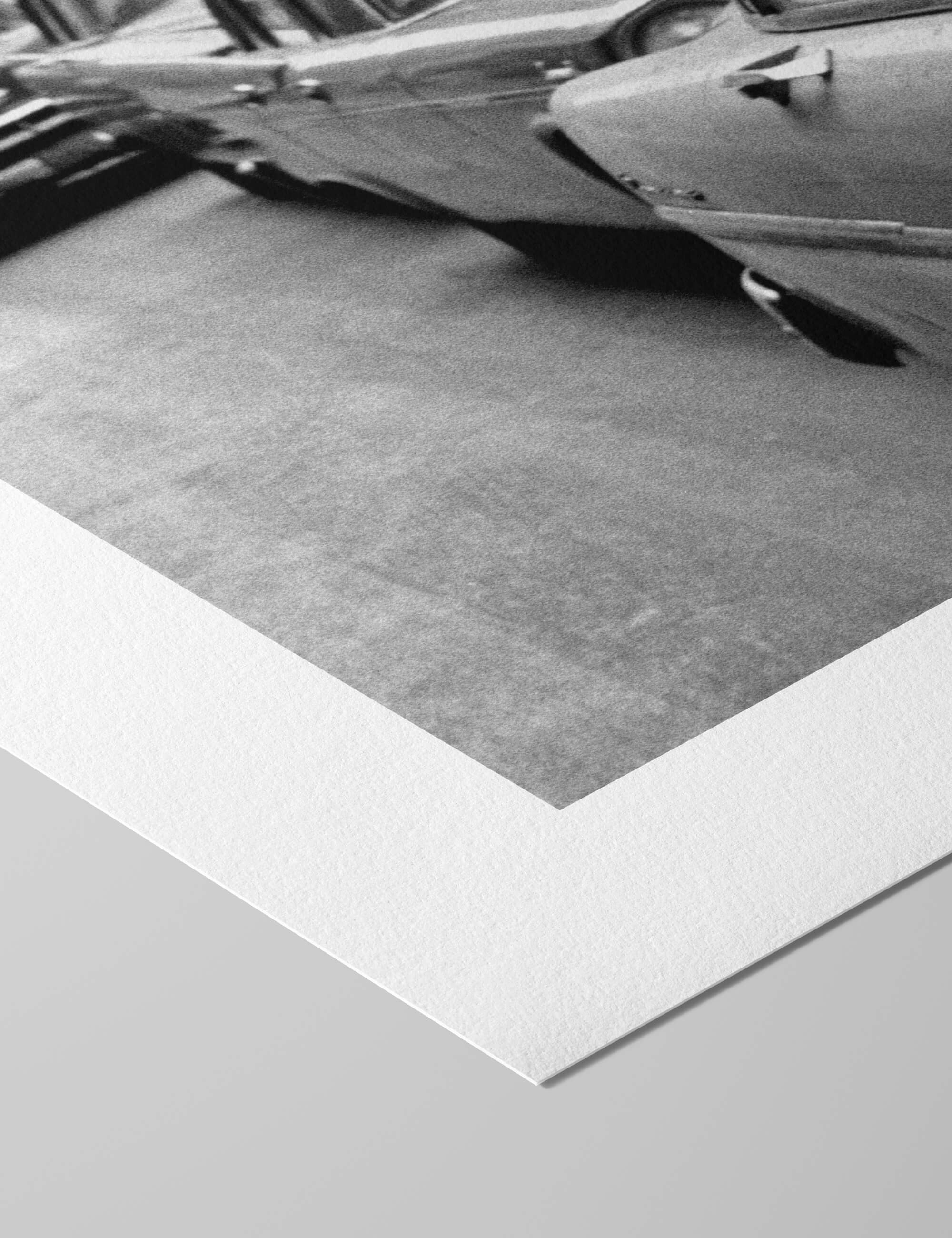 A Llama in Times Square