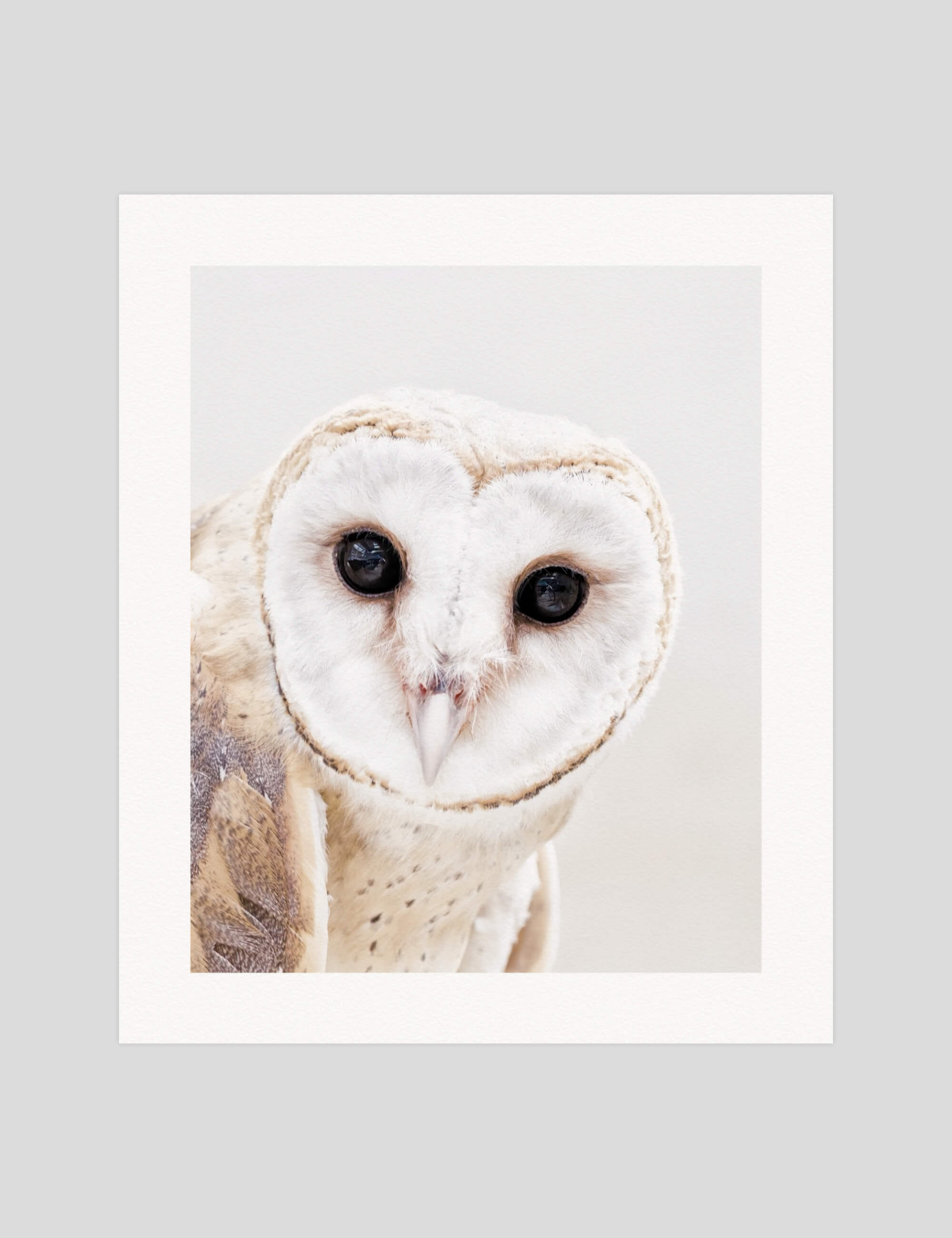 Anan Kaewkham The Owl gallery quality art print produced using 100% cotton rag textured art paper and pigment based archival inks in New Zealand.