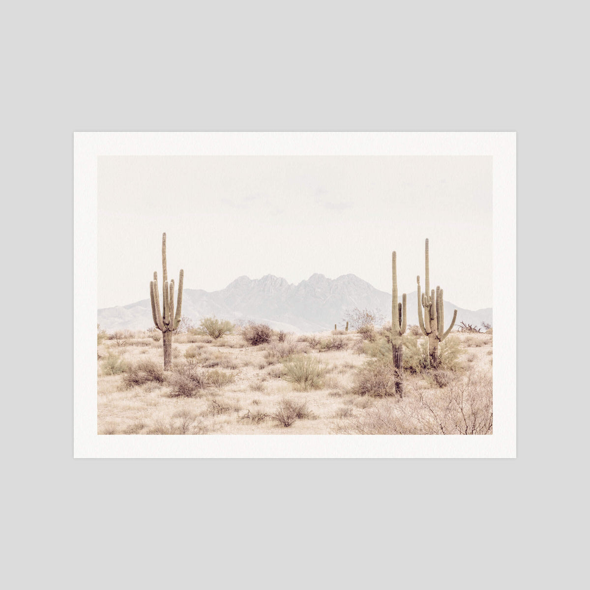 Arizona Desert gallery quality art print produced using 100% cotton rag textured art paper and pigment based archival inks in New Zealand.