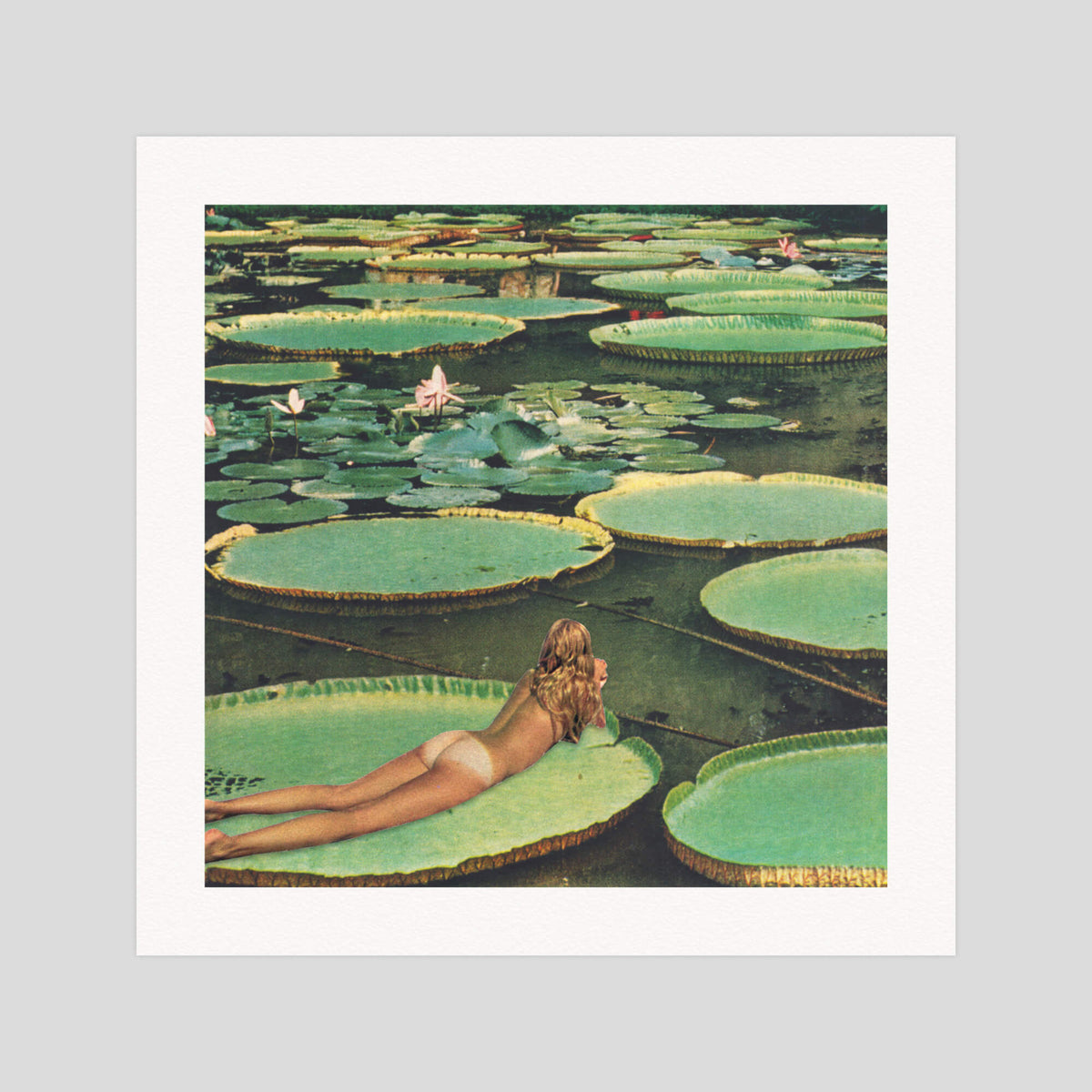 Beth Hoeckel Lily Pond Lane gallery quality art print produced using 100% cotton rag textured art paper and pigment based archival inks in New Zealand.
