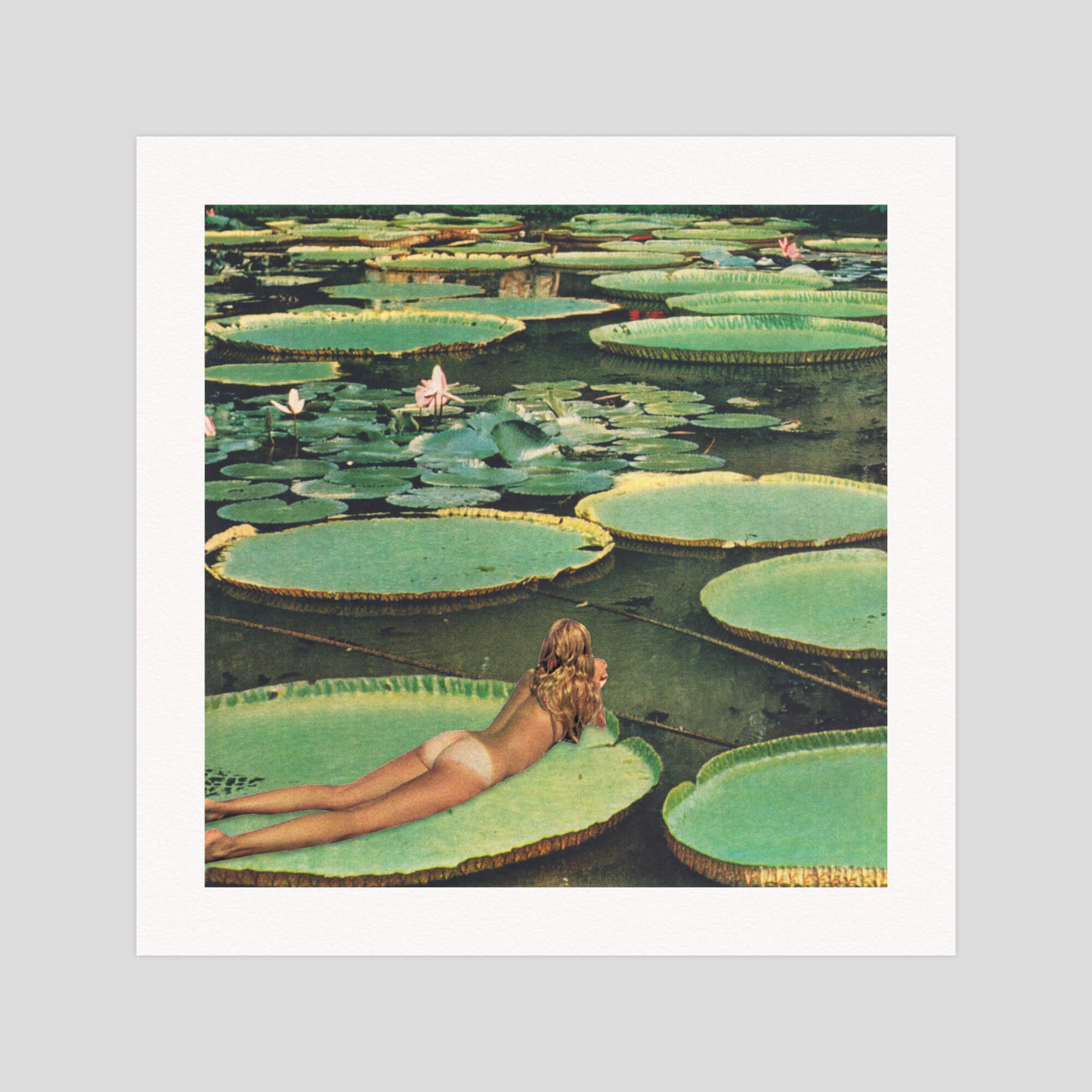 Beth Hoeckel Lily Pond Lane gallery quality art print produced using 100% cotton rag textured art paper and pigment based archival inks in New Zealand.