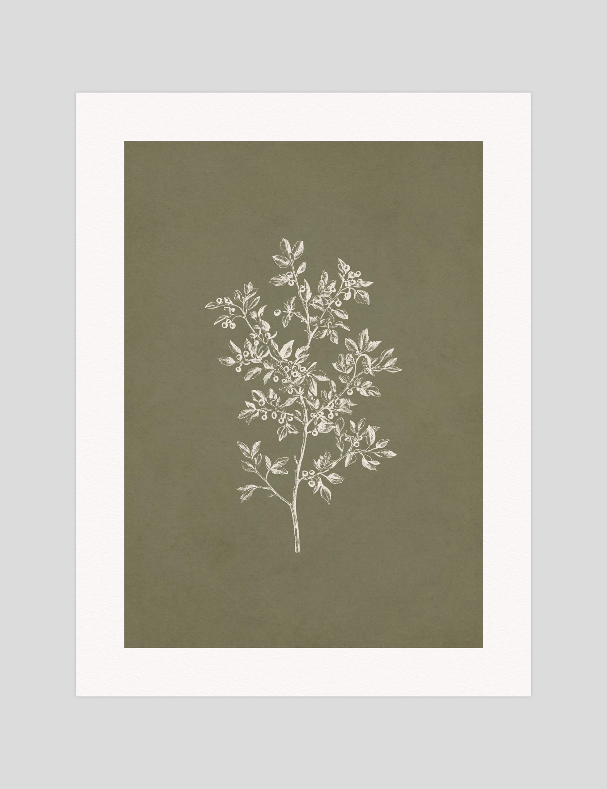 Botanical in Olive gallery quality art print produced using 100% cotton rag textured art paper and pigment based archival inks in New Zealand.