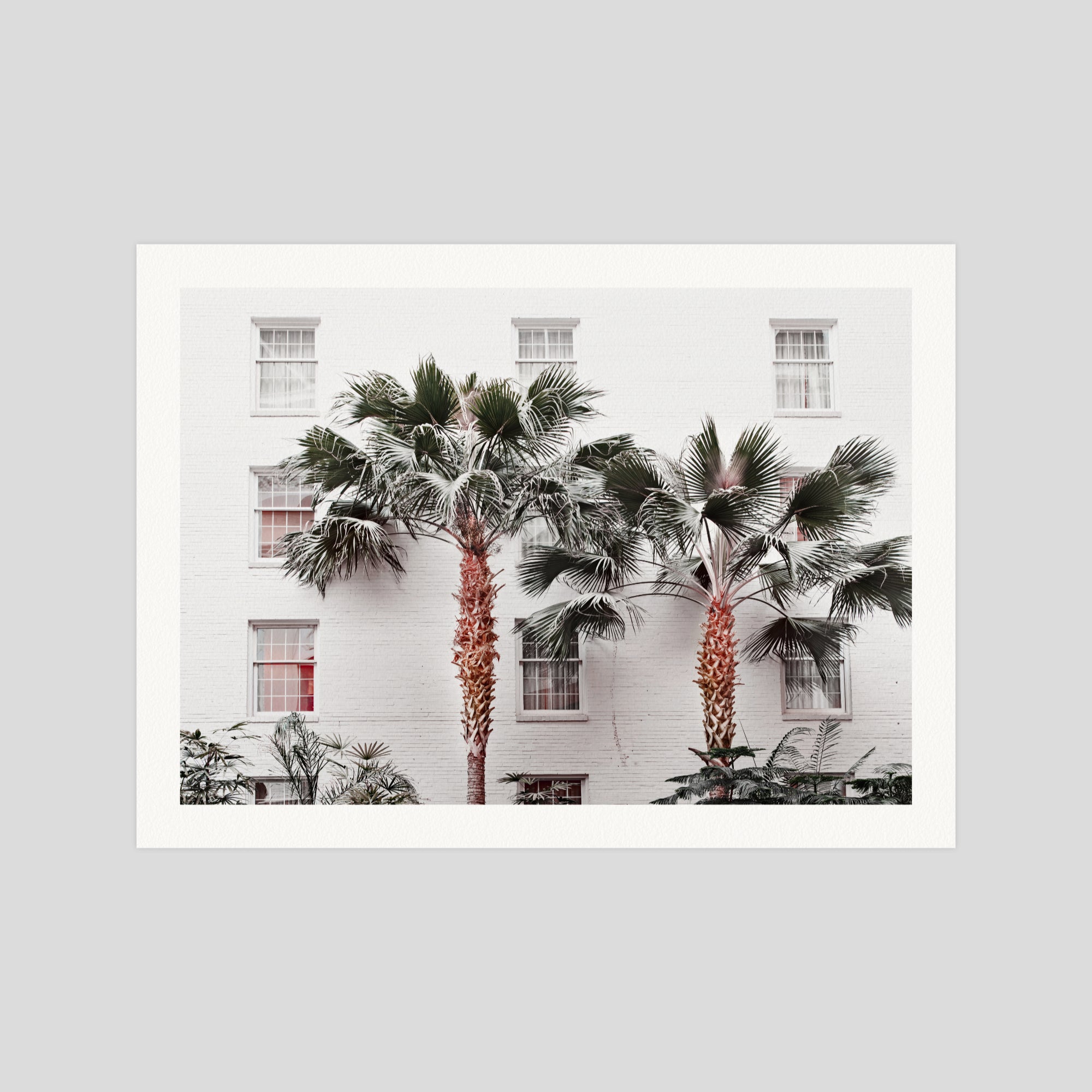 Casa Palms gallery quality art print produced using 100% cotton rag textured art paper and pigment based archival inks in New Zealand.