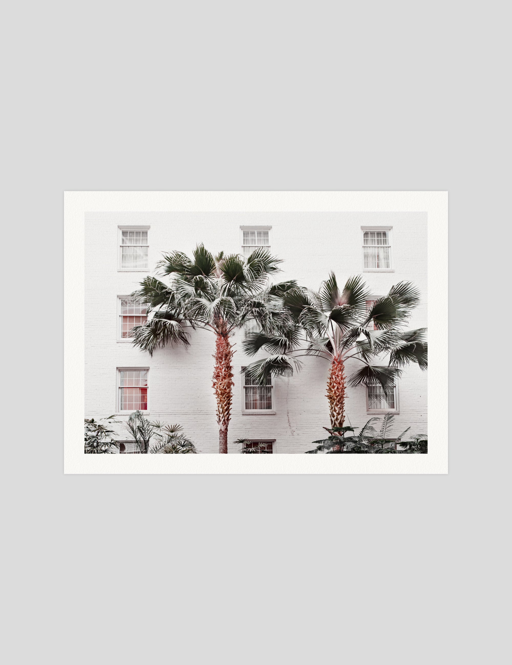 Casa Palms gallery quality art print produced using 100% cotton rag textured art paper and pigment based archival inks in New Zealand.