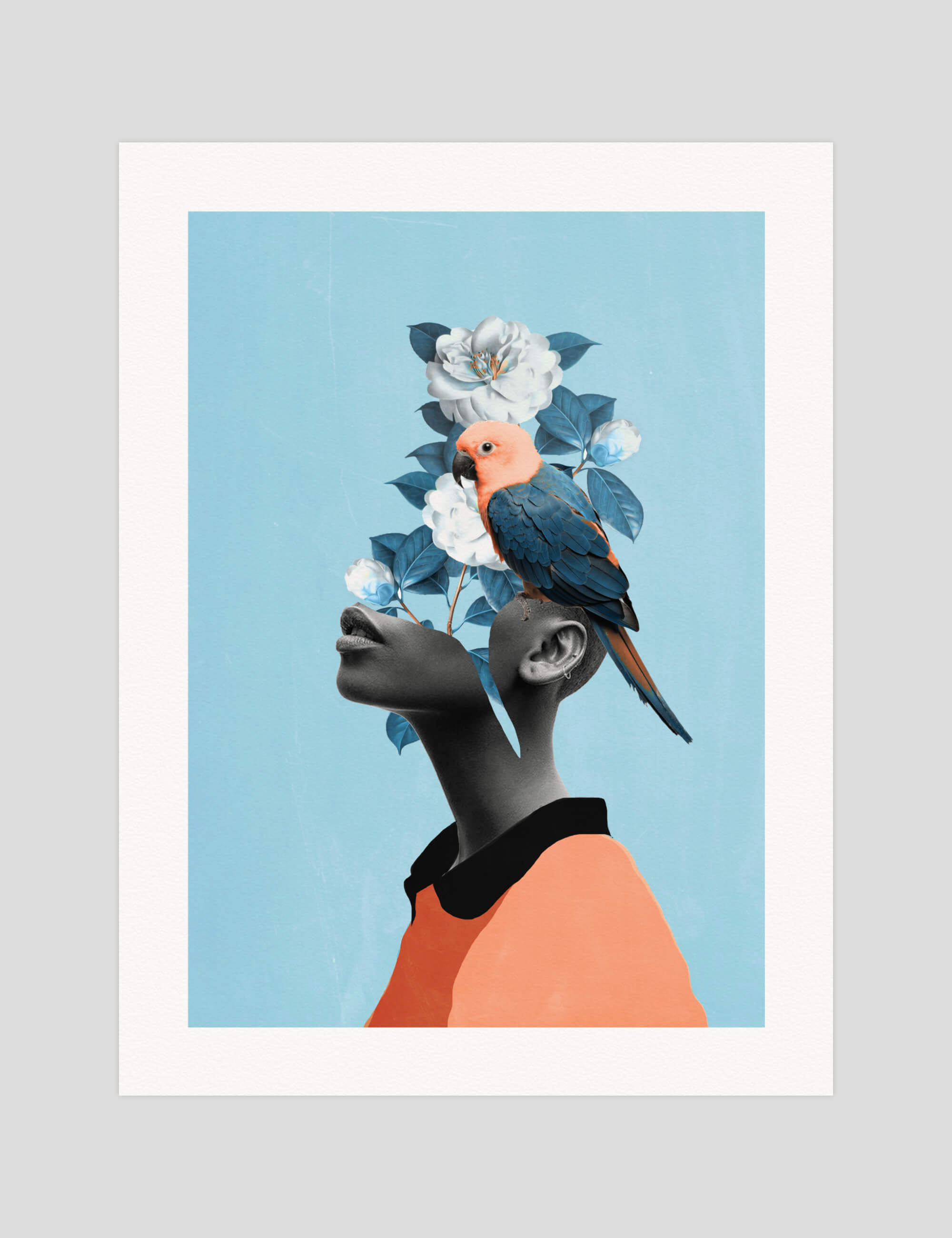 Dada22 Girl With Parrot gallery quality art print produced using 100% cotton rag textured art paper and pigment based archival inks in New Zealand.