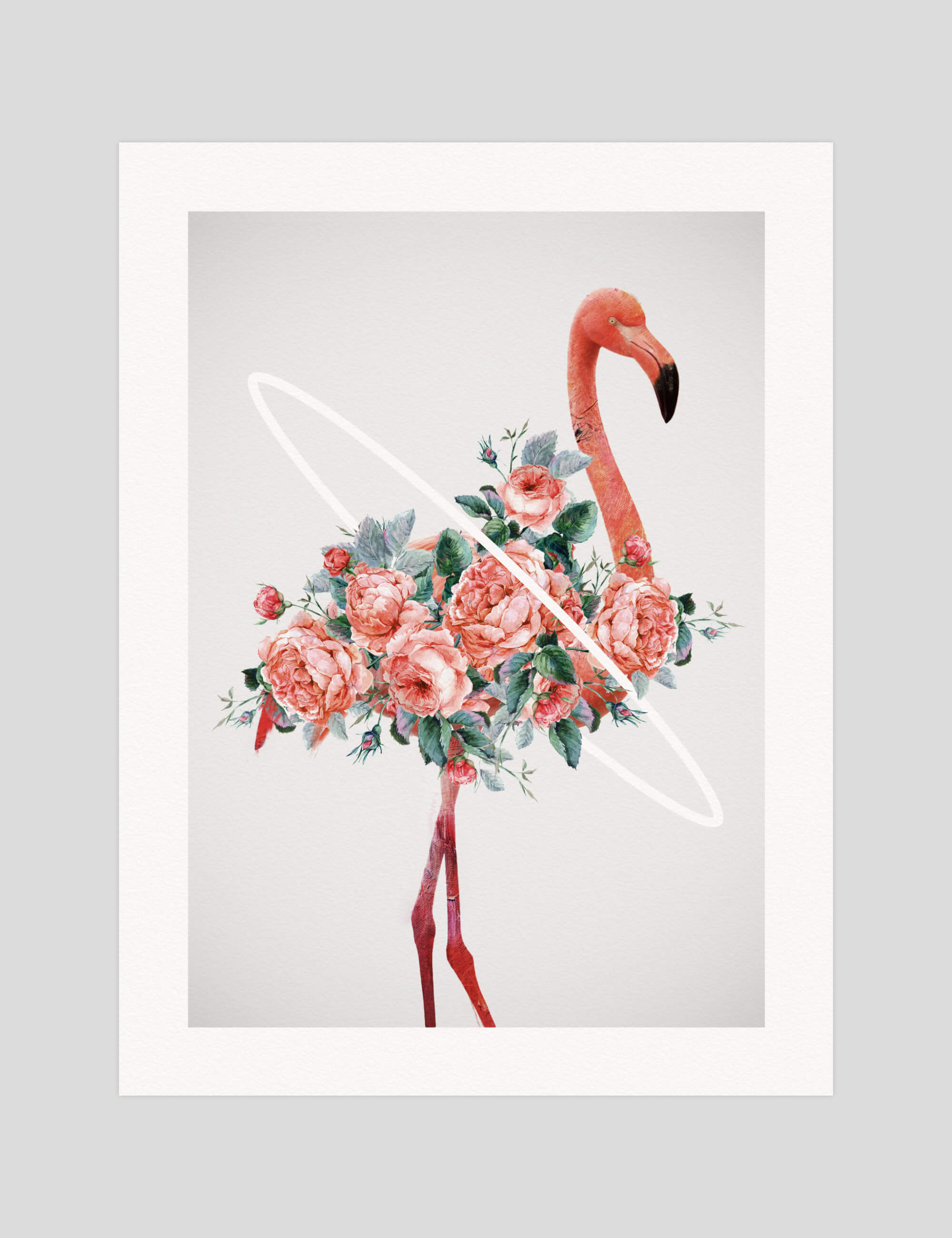 Daniel Taylor Flamingo gallery quality art print produced using 100% cotton rag textured art paper and pigment based archival inks in New Zealand.