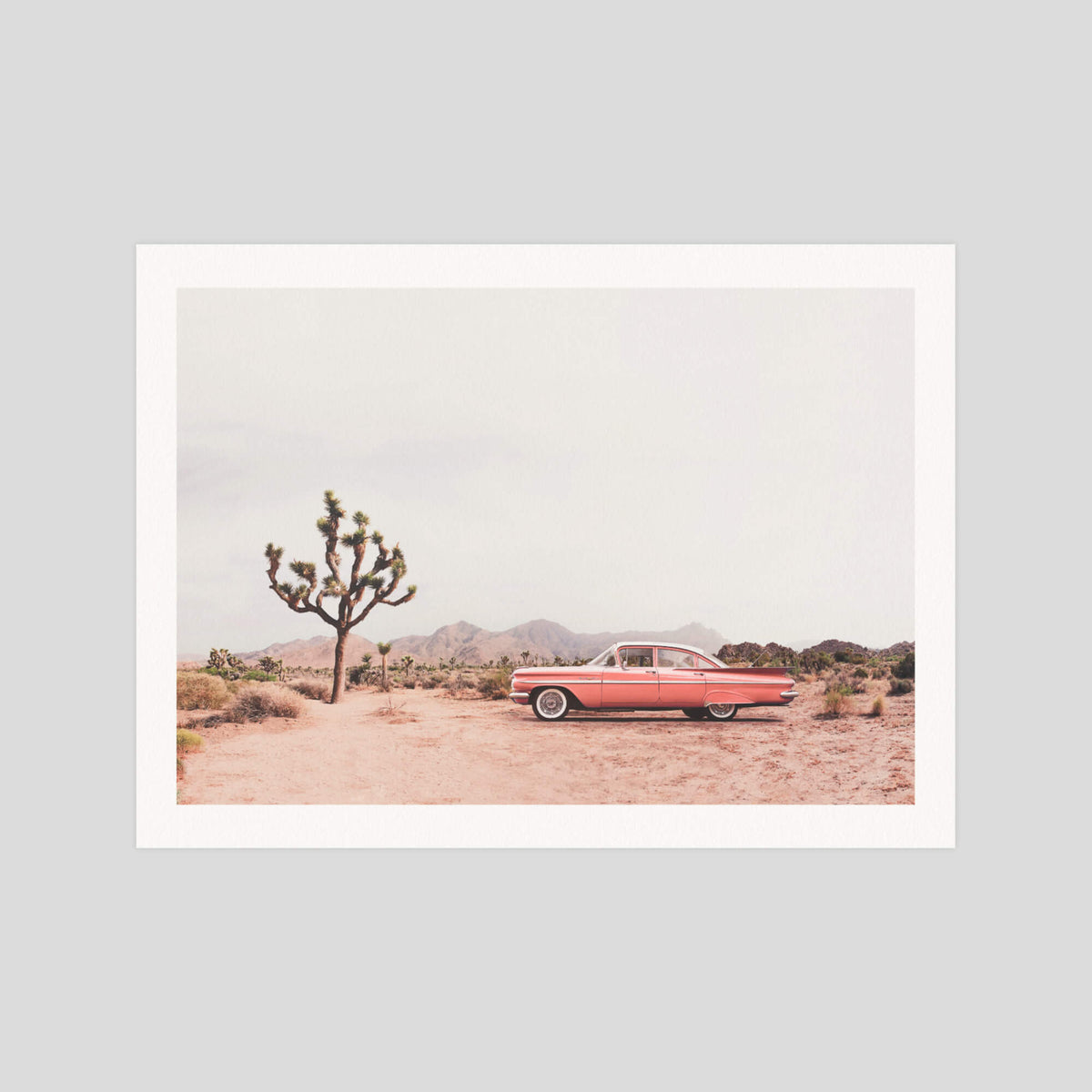 Kathrin Pienaar Desert Car gallery quality art print produced using 100% cotton rag textured art paper and pigment based archival inks in New Zealand.